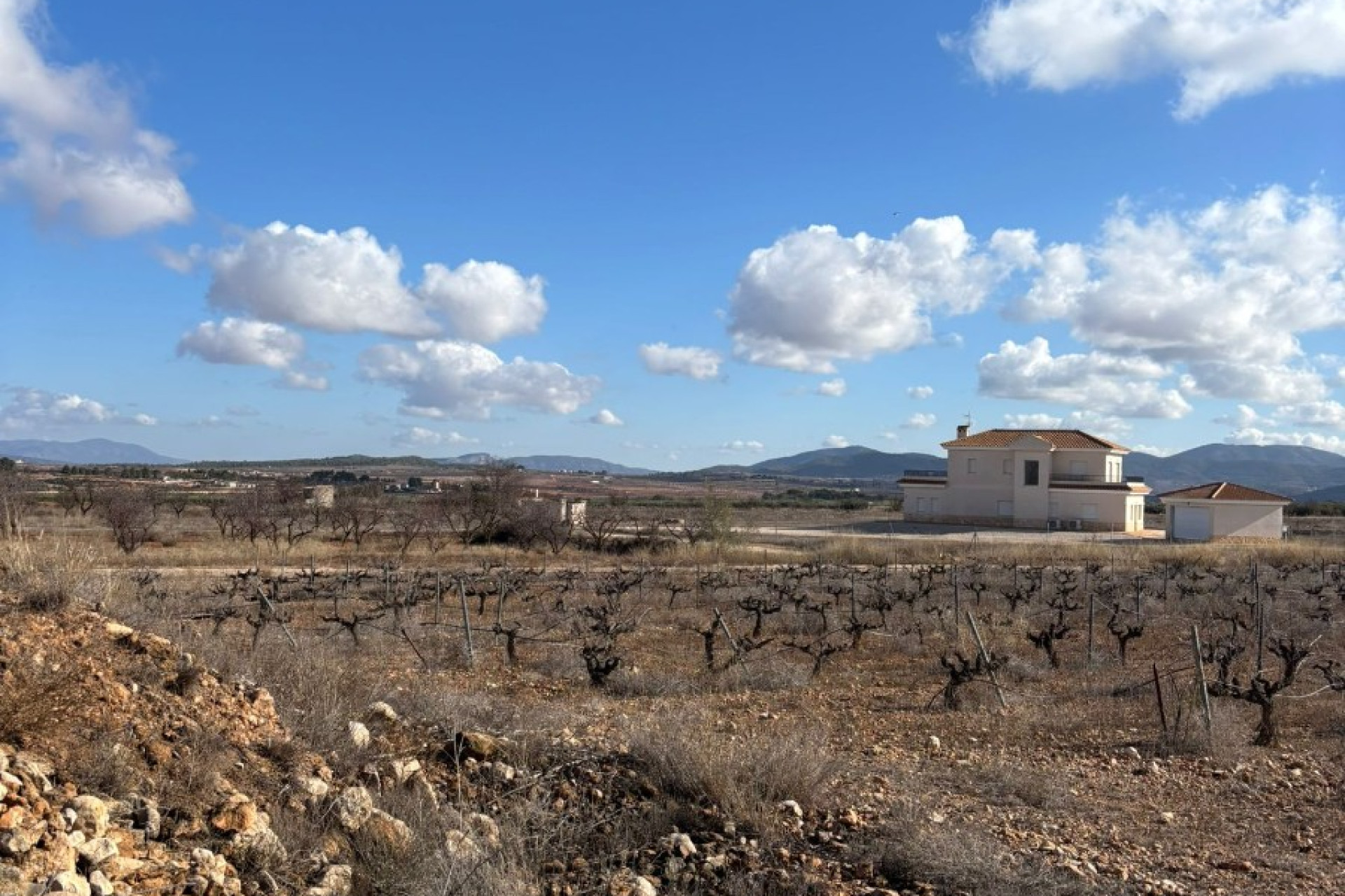 Herverkoop - Perceel / Grond - Pinoso - el Pinós / Pinoso