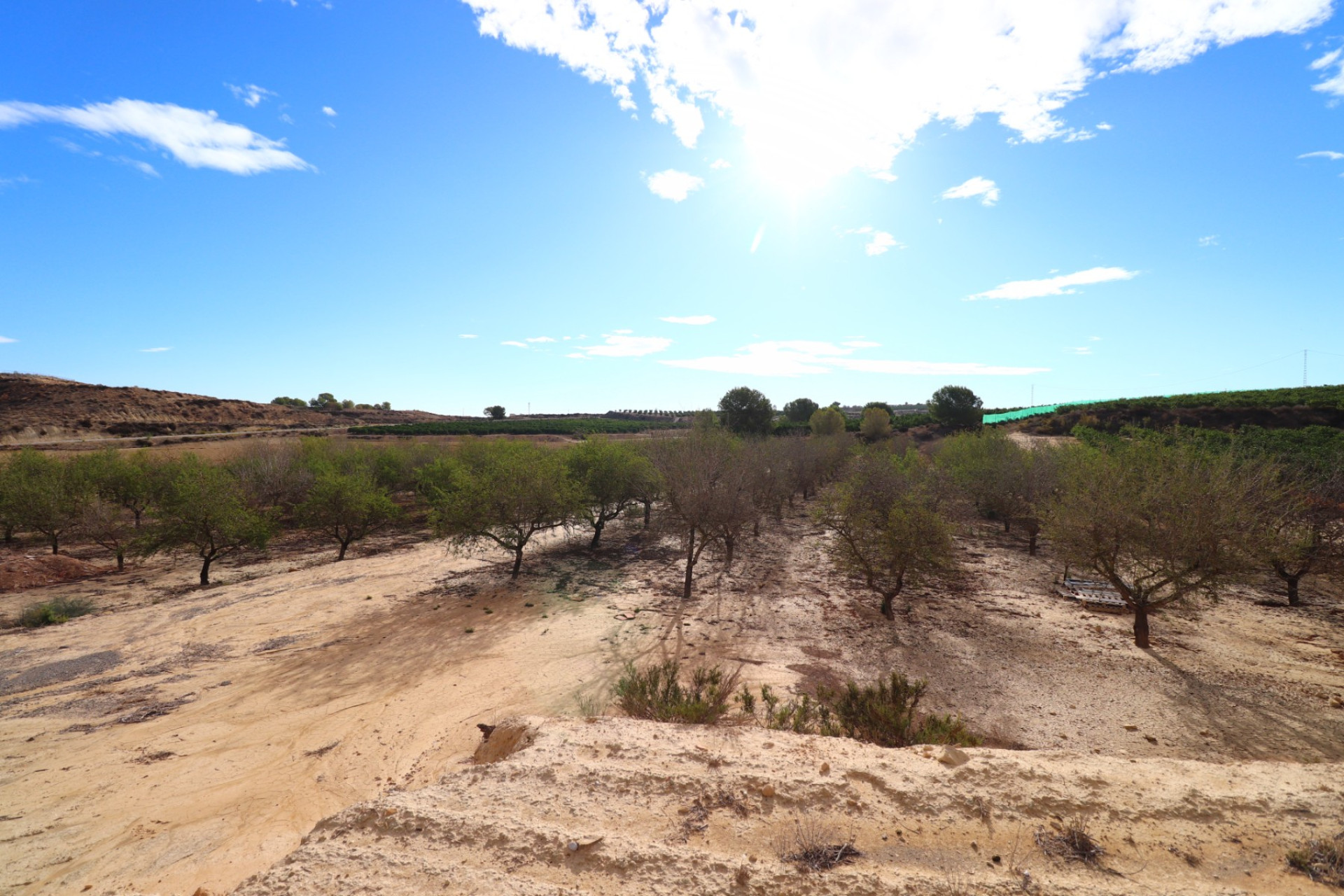 Herverkoop - Perceel / Grond - Torremendo - Torremendo - Country