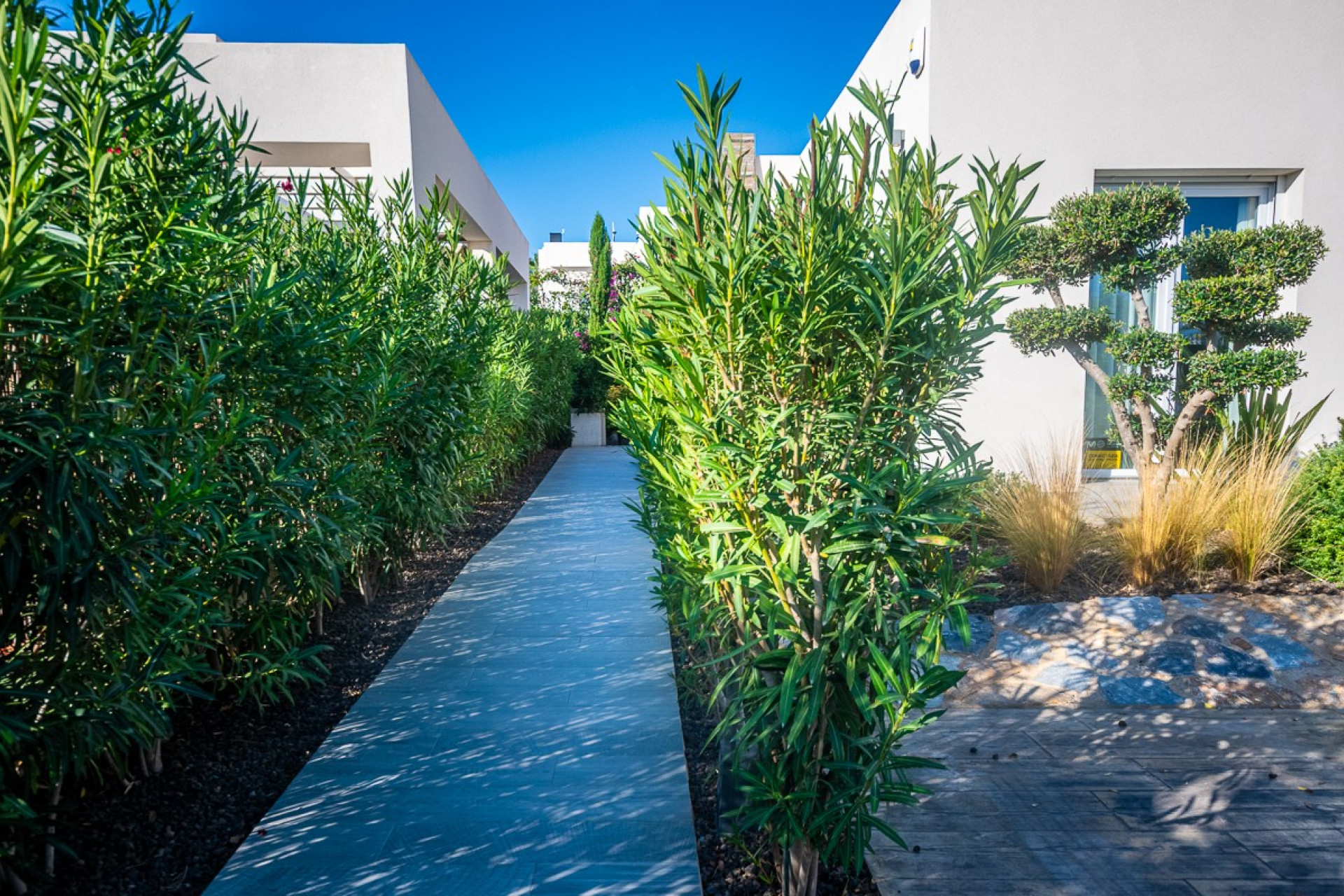 Herverkoop - Villa - Algorfa - La Finca Golf