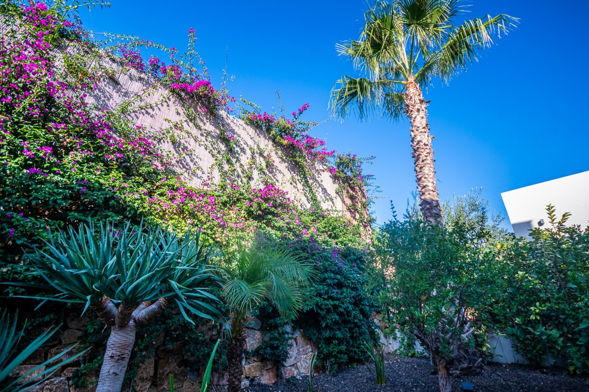 Herverkoop - Villa - Algorfa - La Finca Golf