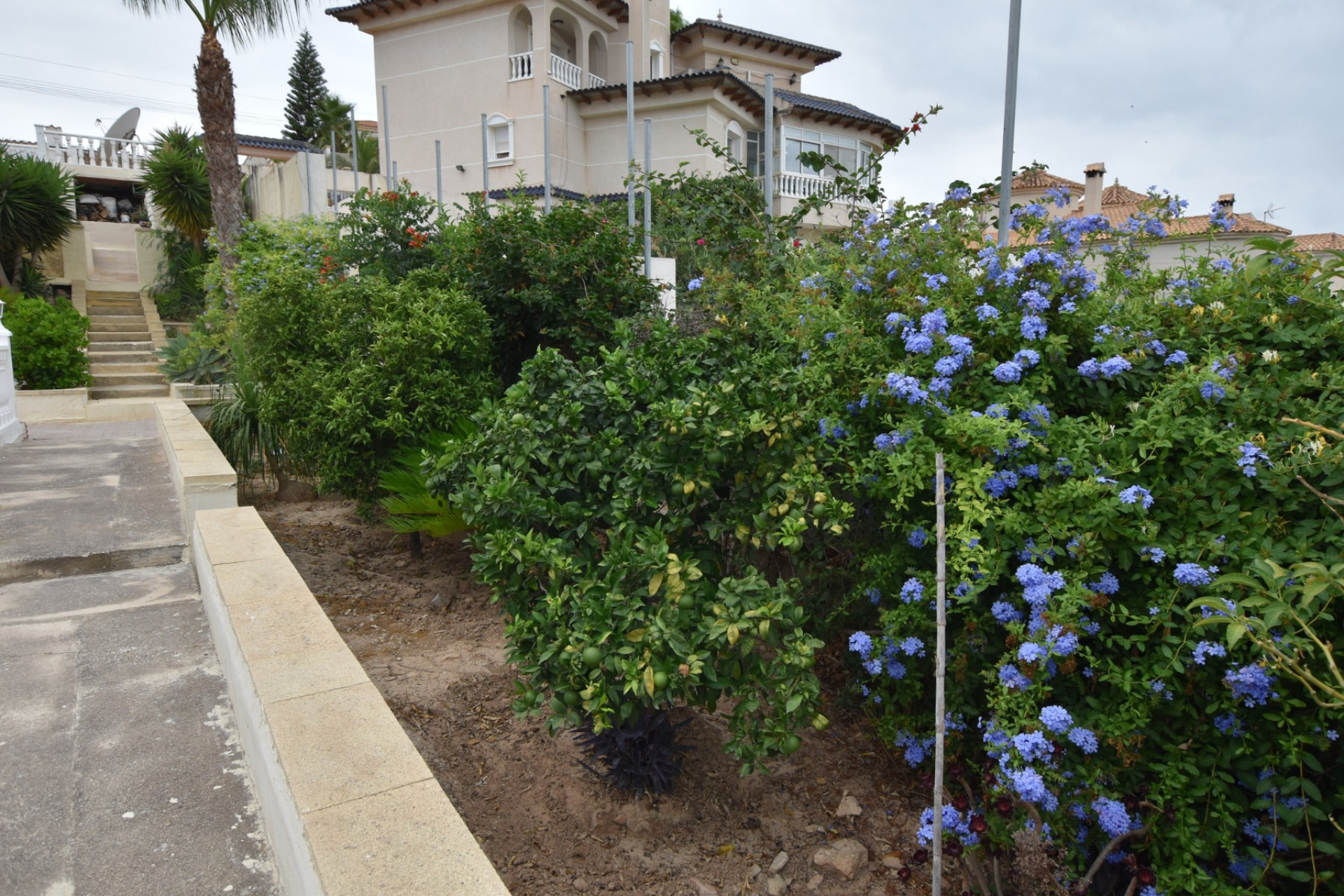 Herverkoop - Villa - Algorfa - Montemar