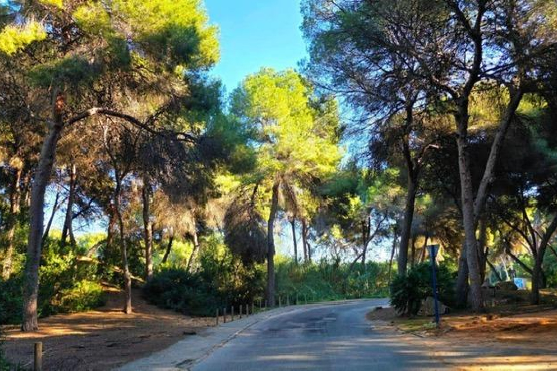 Herverkoop - Villa - Dehesa de Campoamor - Campoamor
