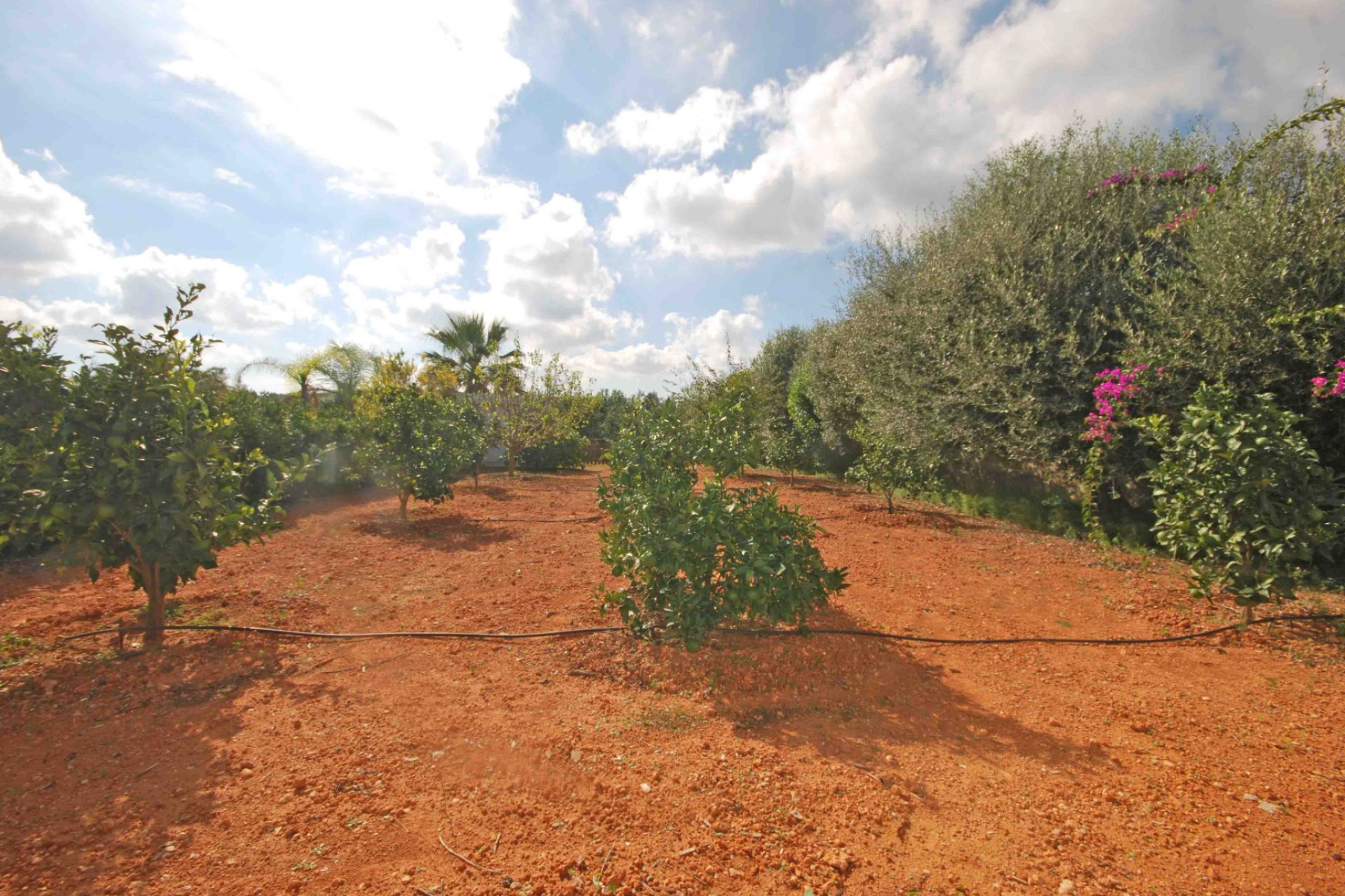 Herverkoop - Villa - Jávea - Montgó