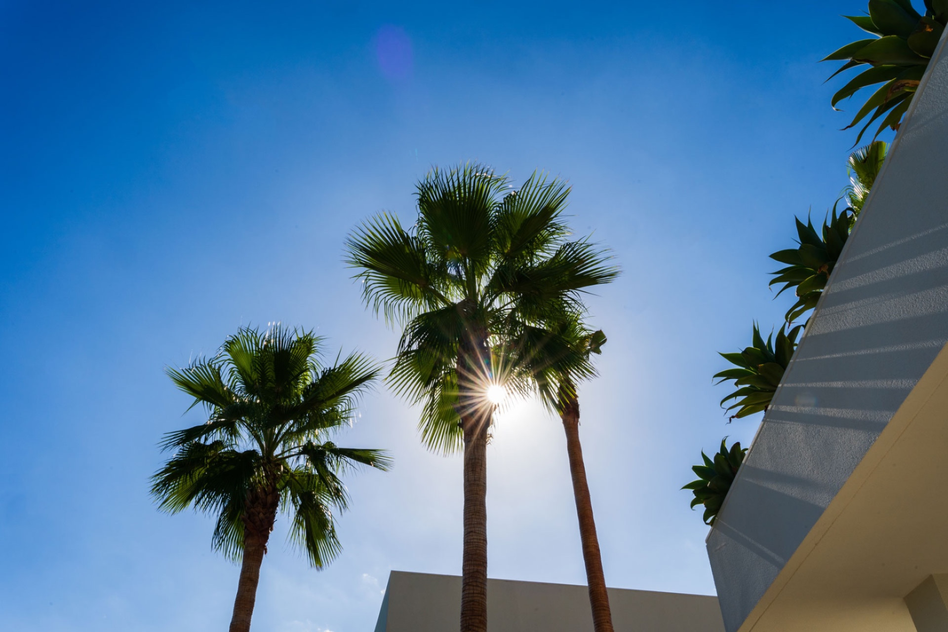 Herverkoop - Villa - Las Colinas Golf Resort - Las Colinas Golf