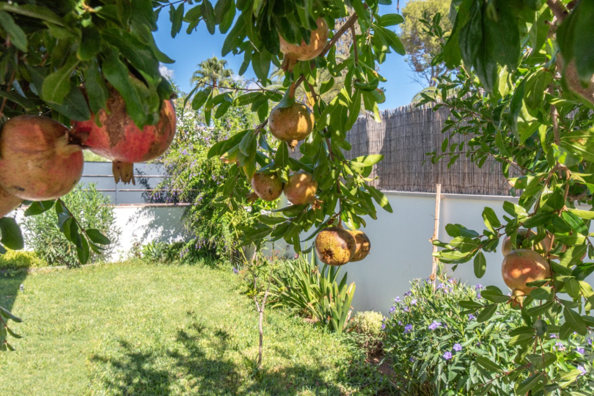 Herverkoop - Villa - Marrachí - Mallorca