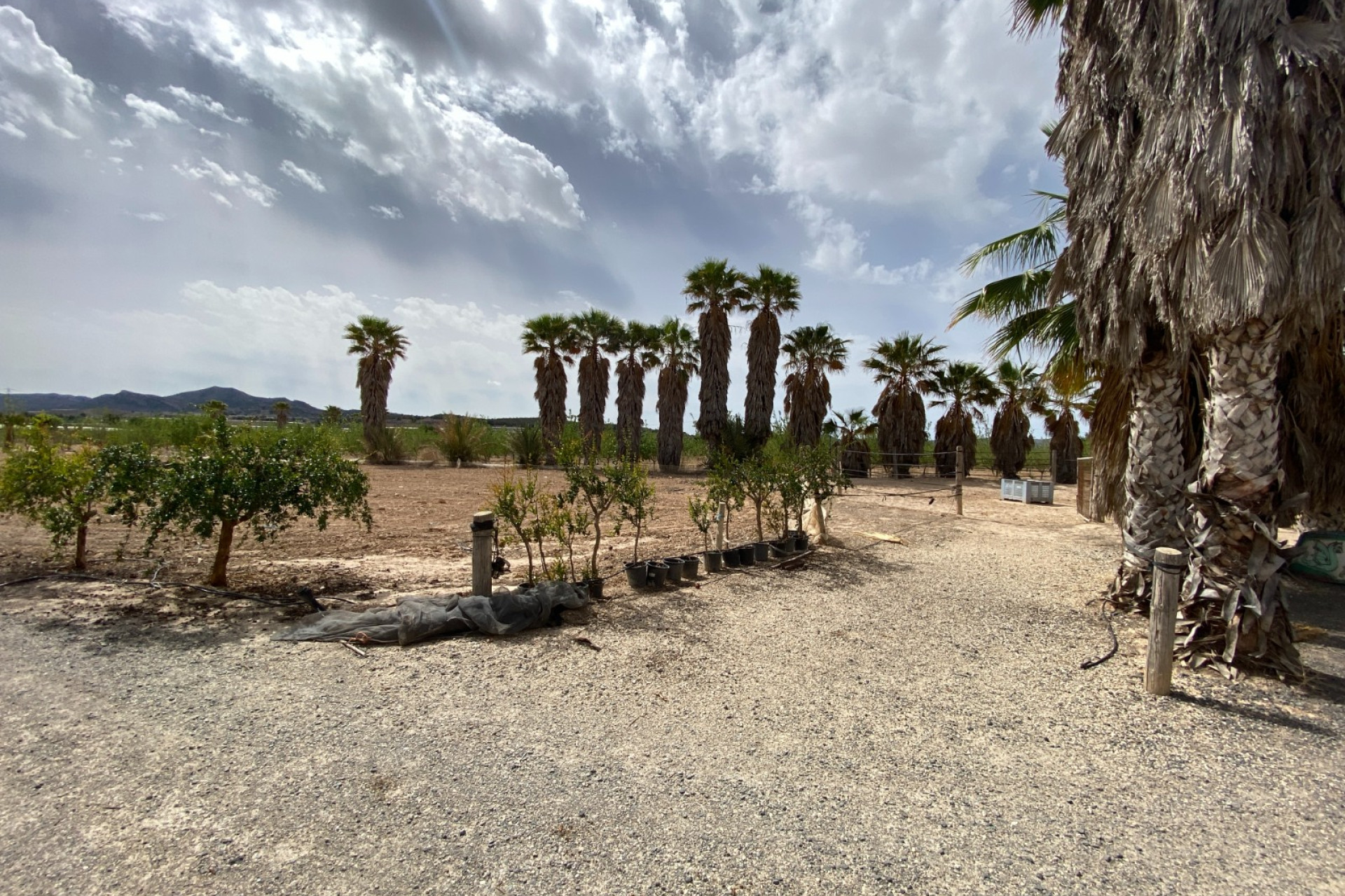 Herverkoop - Villa - Monforte del Cid