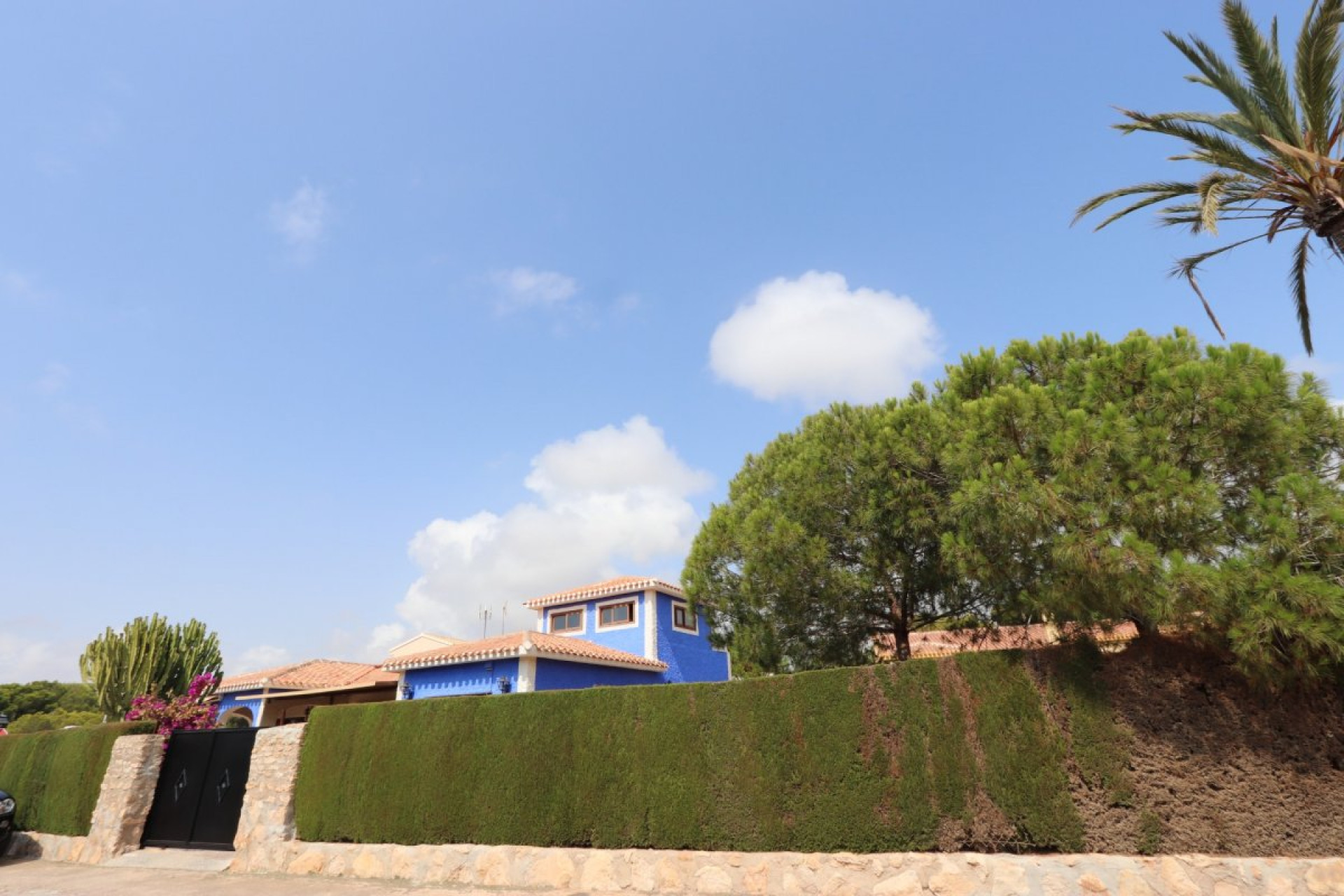 Herverkoop - Villa - Orihuela Costa - Campoamor