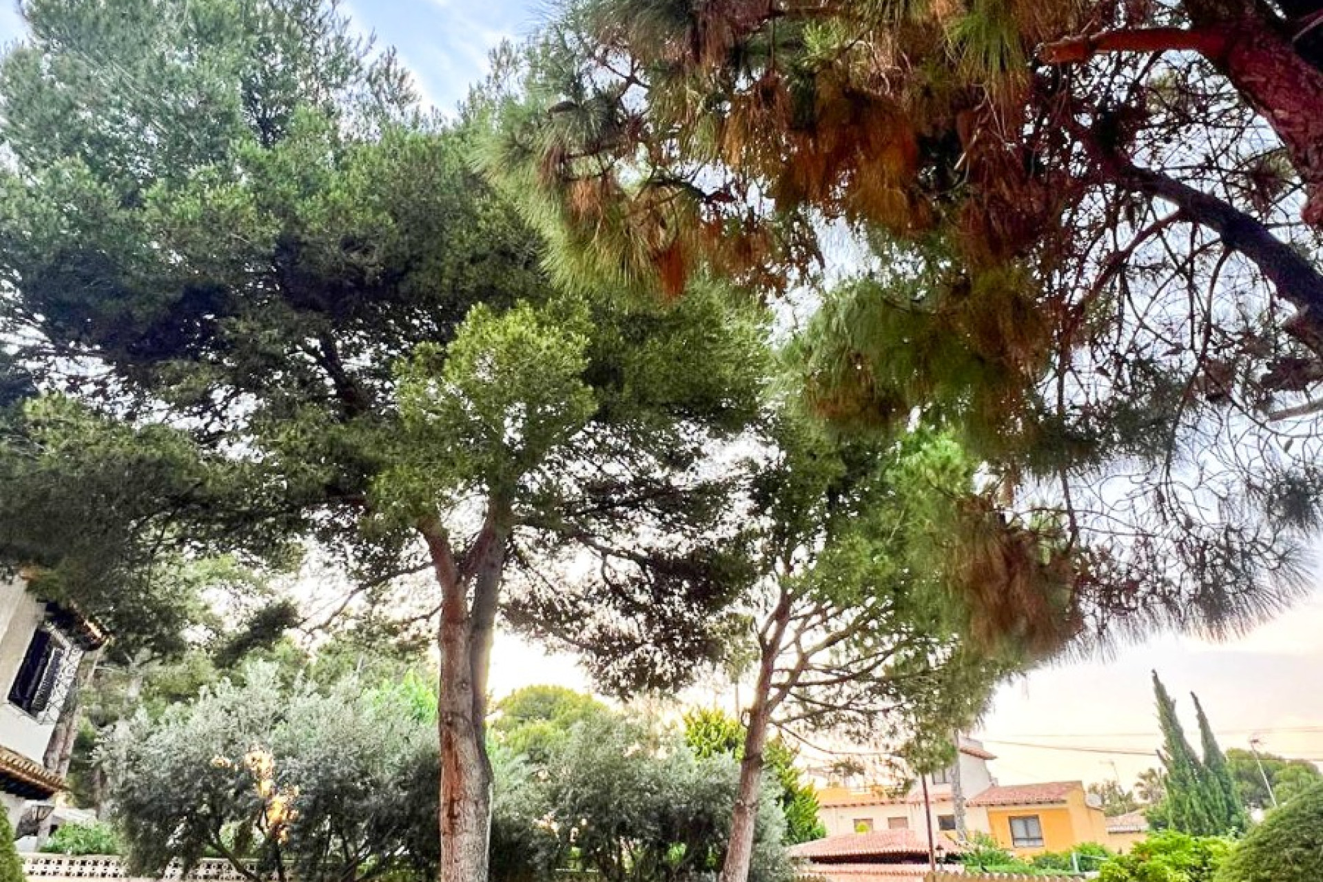 Herverkoop - Villa - Orihuela Costa - Punta Prima