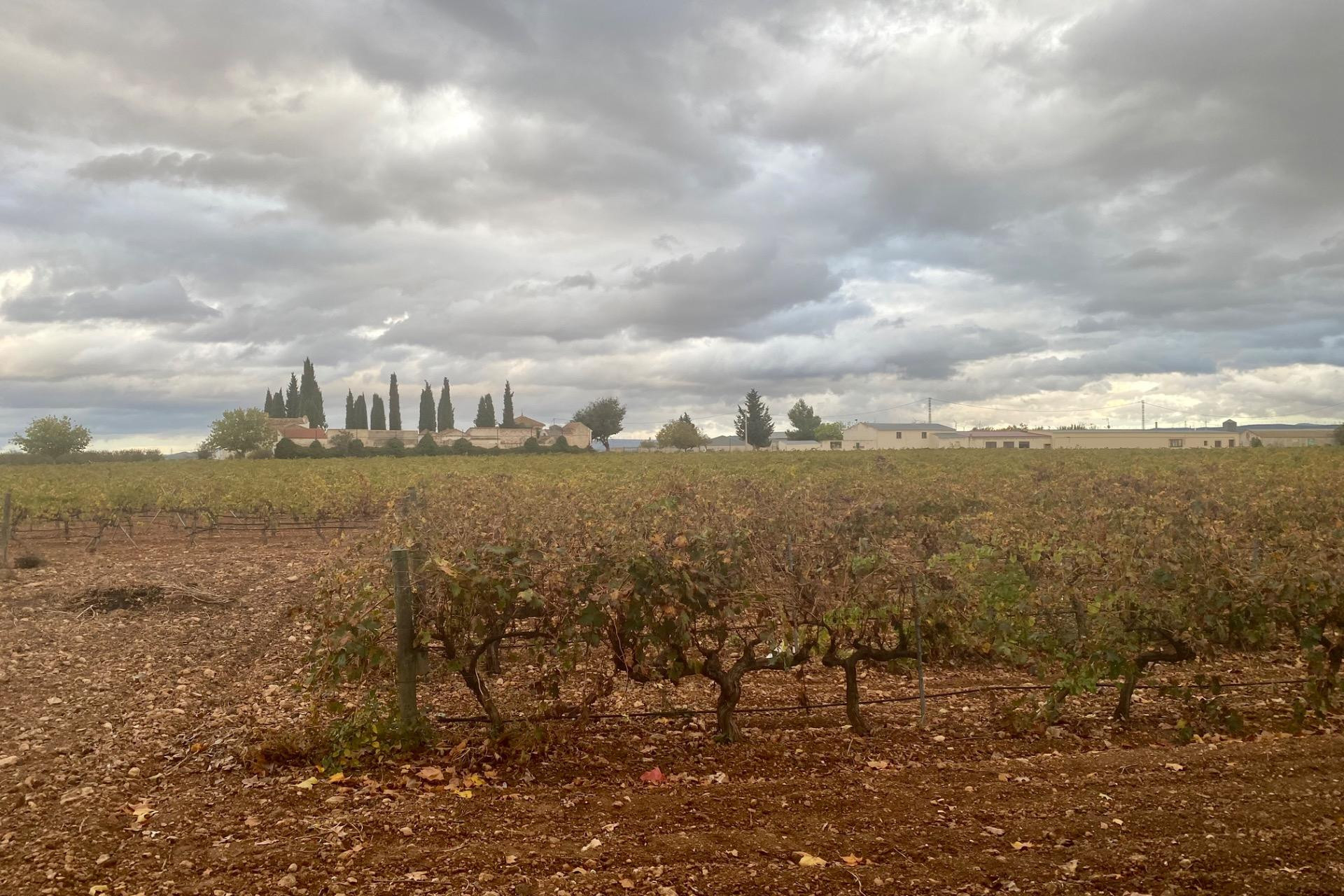 Herverkoop - wine cellar - Albacete