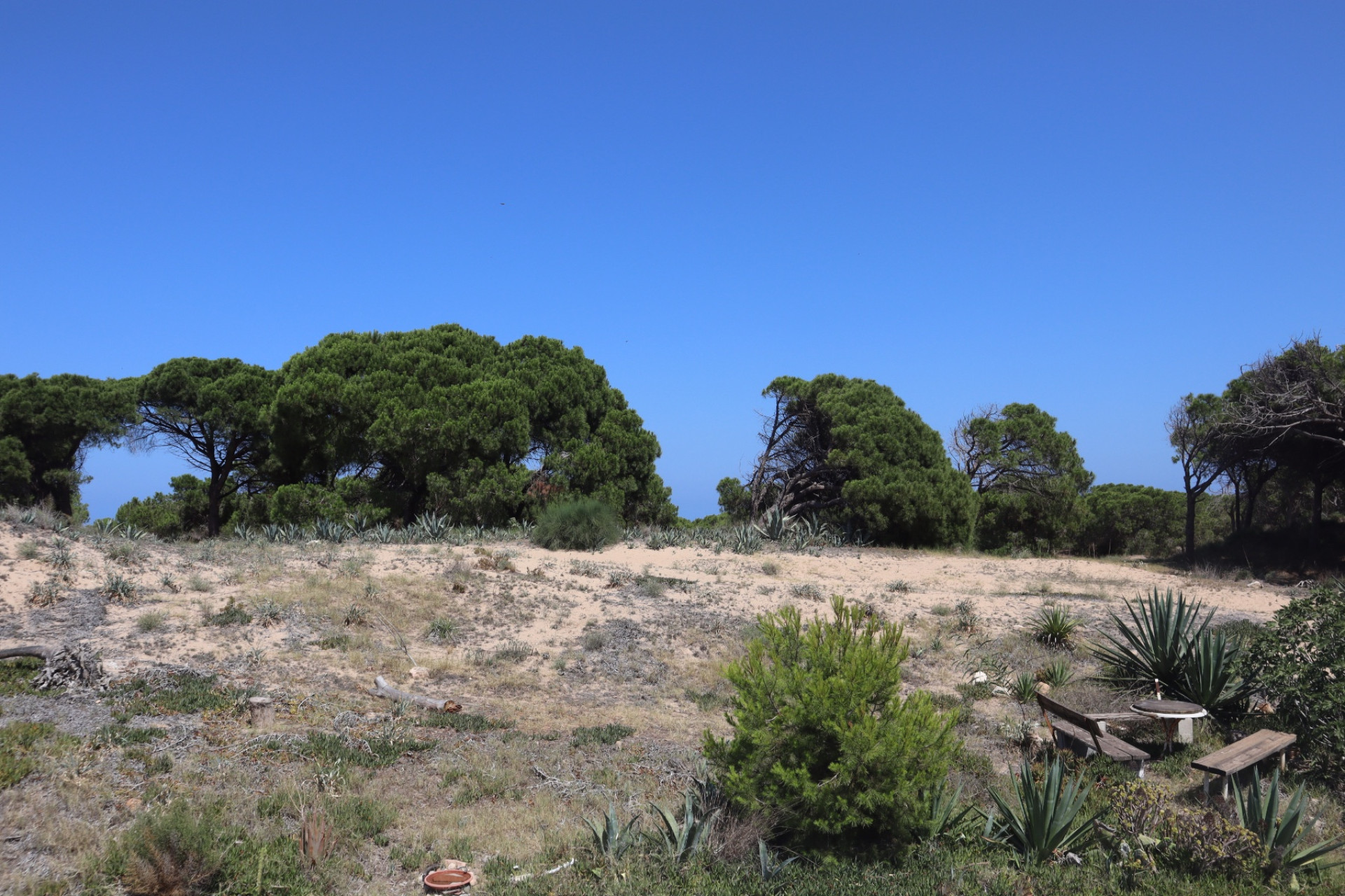 Location à long terme - Maison de ville - Guardamar del Segura - Urbanizaciones