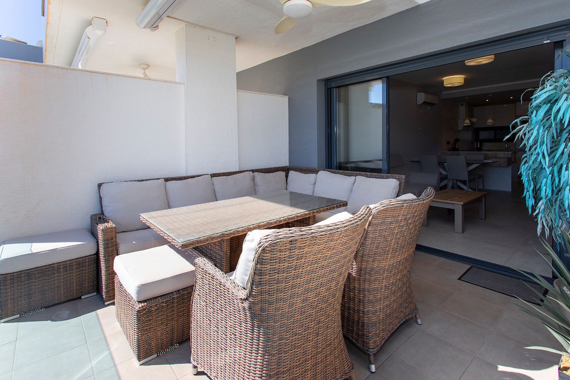Long Term Rental - Apartment / flat - Alicante - Guardamar Del Segura
