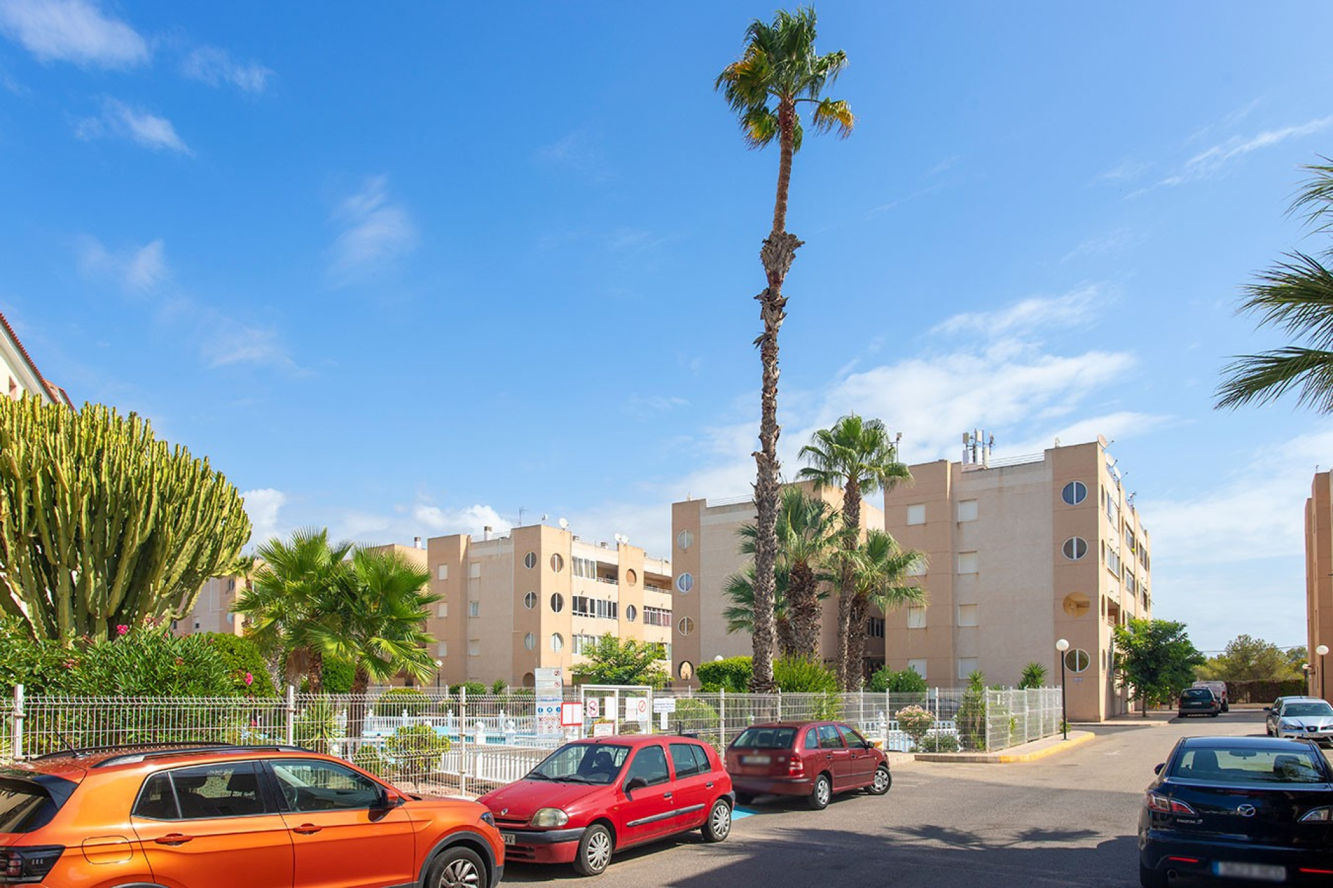 Long Term Rental - Apartment / flat - Torrevieja - torrevieja