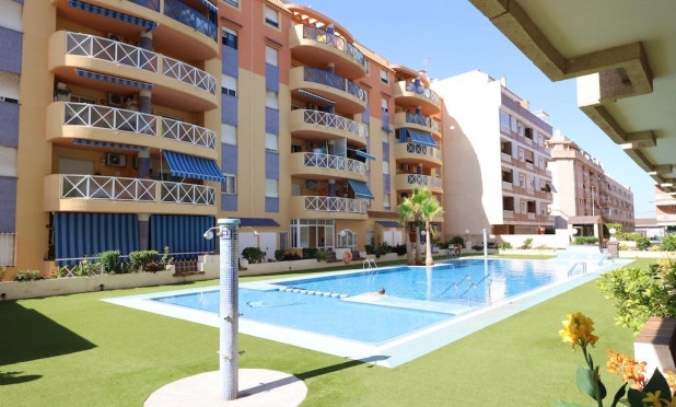 Mieszkanie w bloku - Odsprzedaż - Torrevieja - Centro