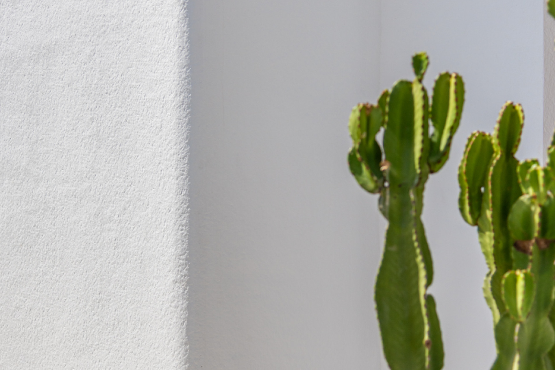 Neue Gebäude - Villa - Los Alcazares - Los Alcázares