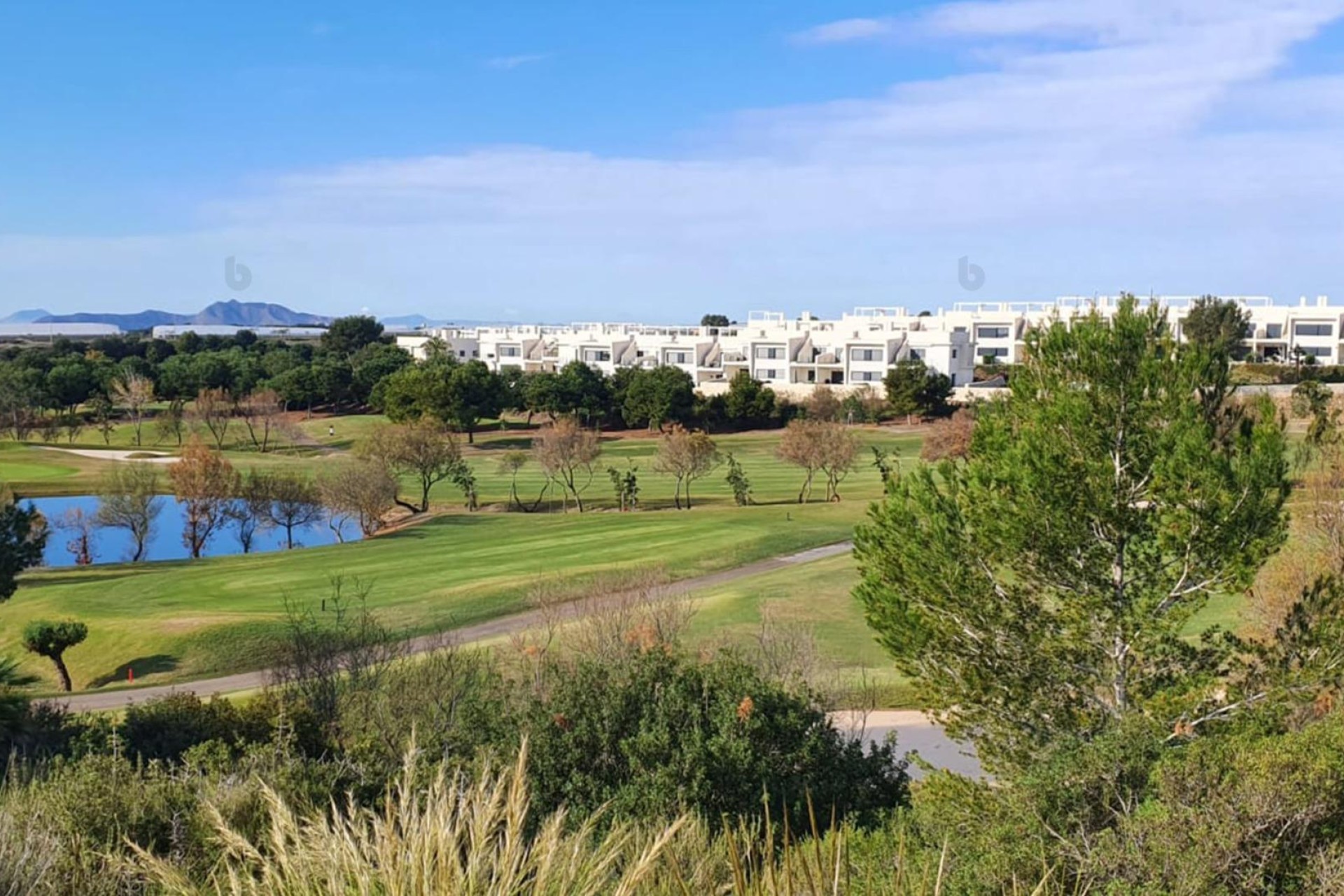 Neue Gebäude - Villa - Pilar de la Horadada - Lo Romero Golf