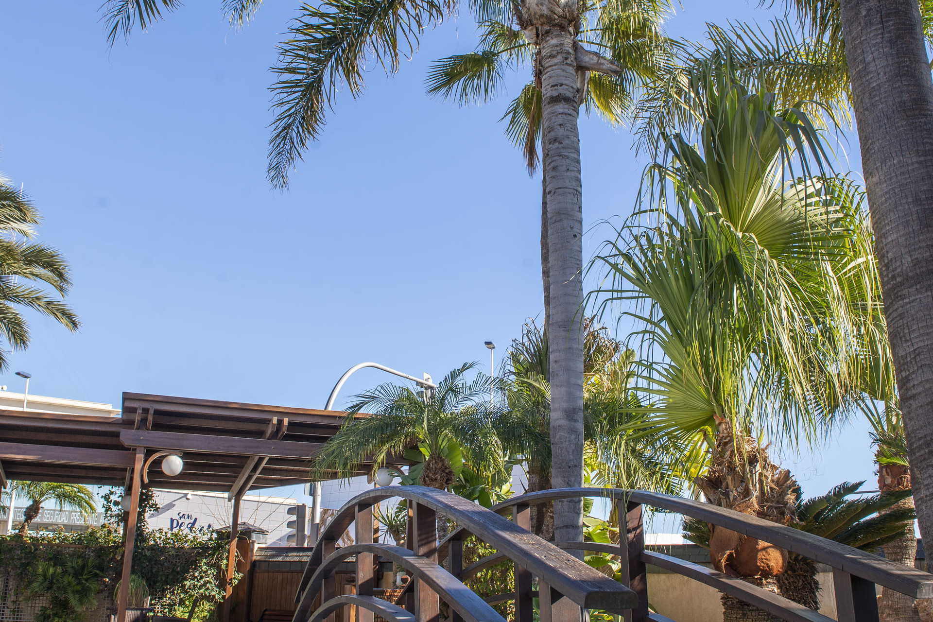 Neue Gebäude - Villa - San Pedro del Pinatar - San Pedro Del Pinatar