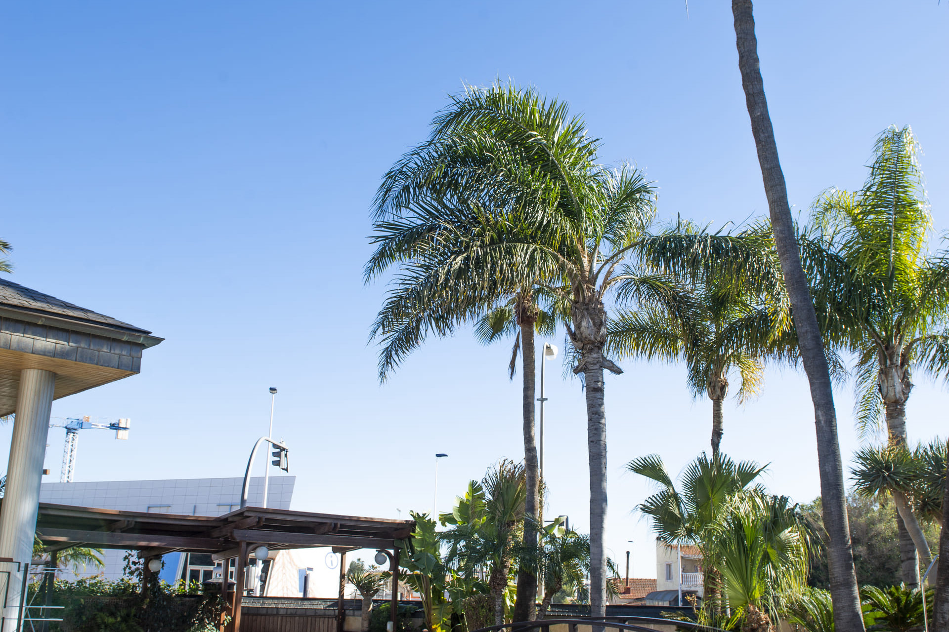 Neue Gebäude - Villa - San Pedro del Pinatar - San Pedro Del Pinatar