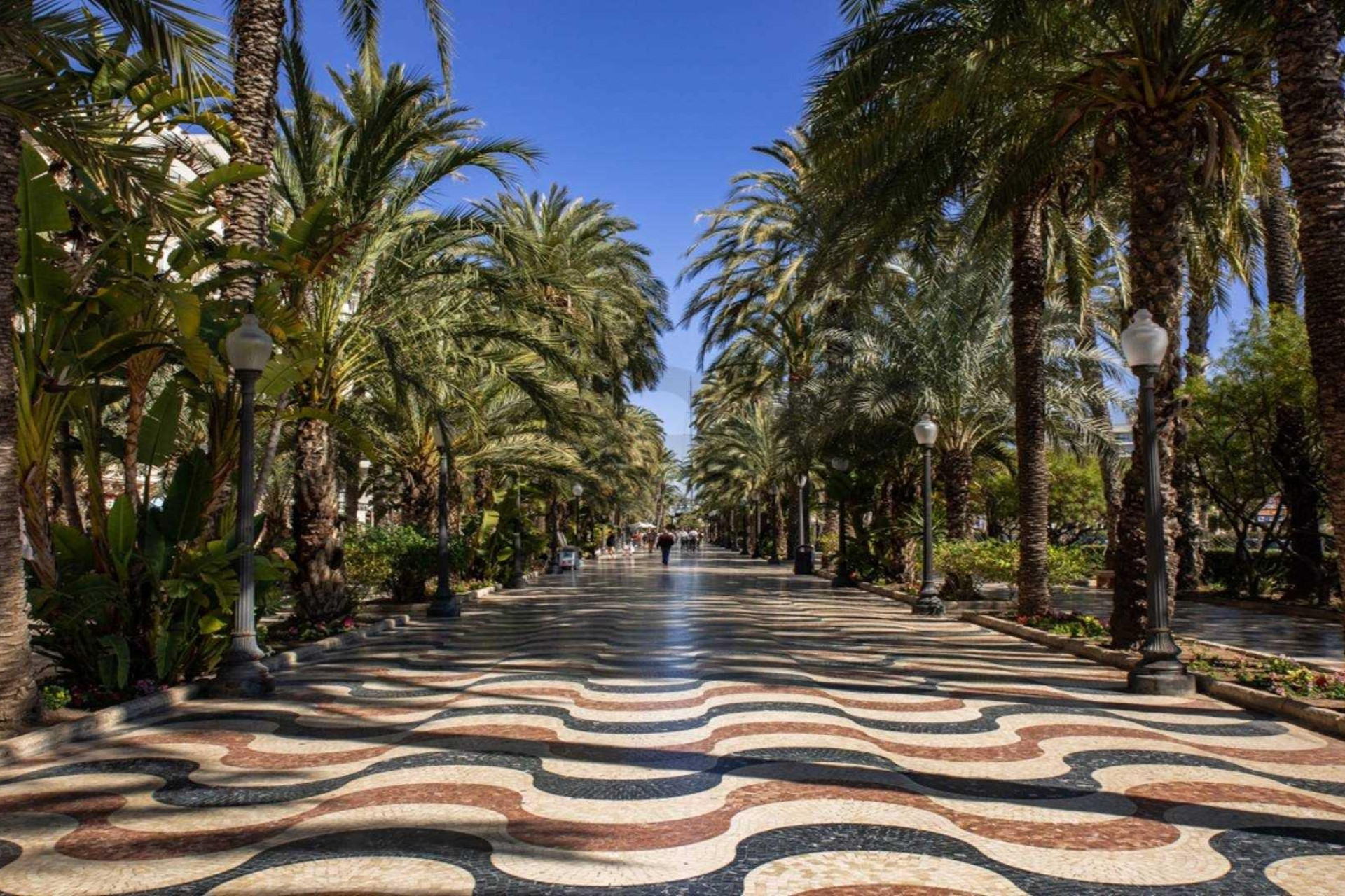 Neue Gebäude - Wohnung - Alicante - Centro