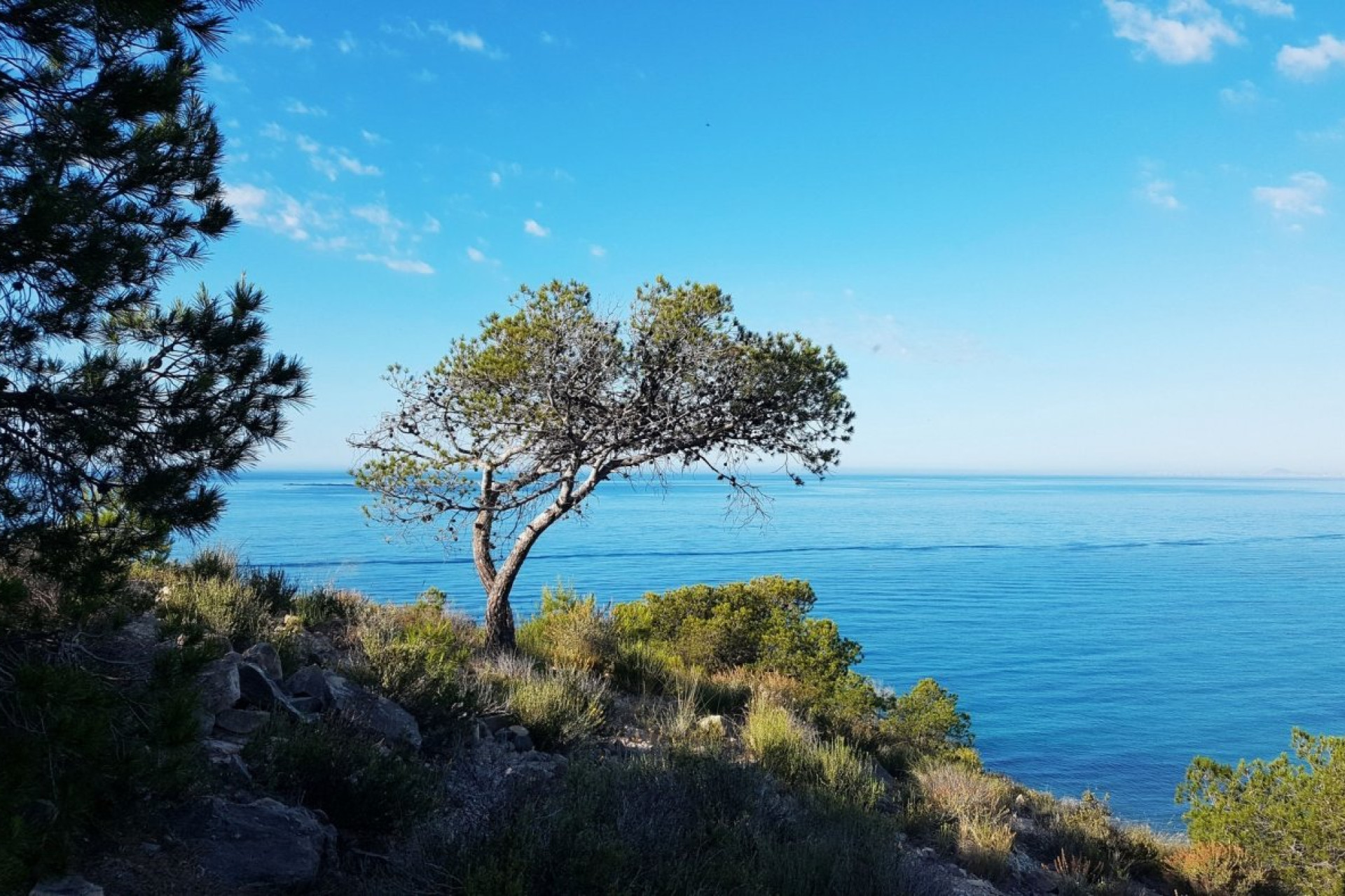 Neue Gebäude - Wohnung - Villajoyosa - Playas Del Torres