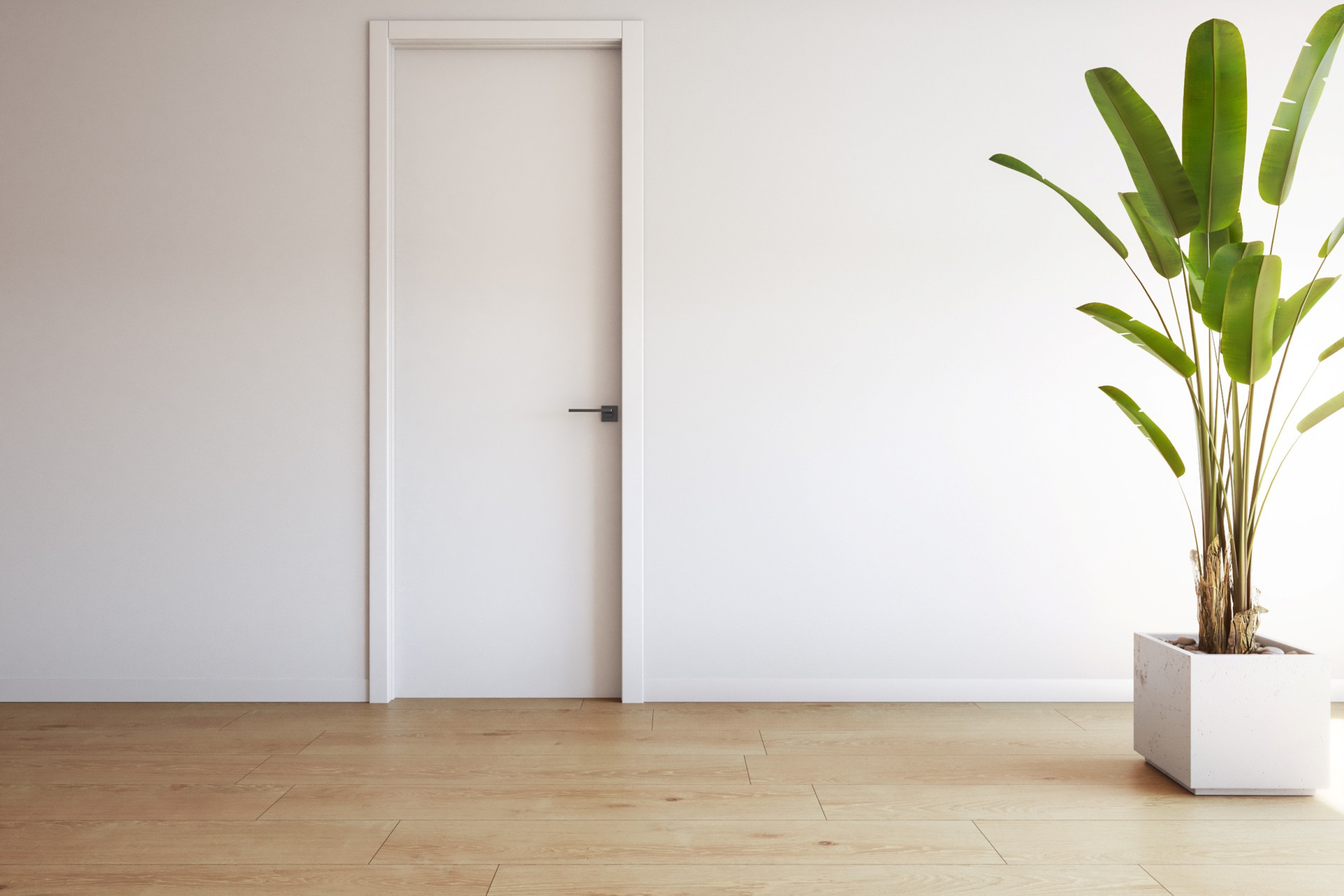 New Build - Apartment / flat - Torrevieja - torrevieja