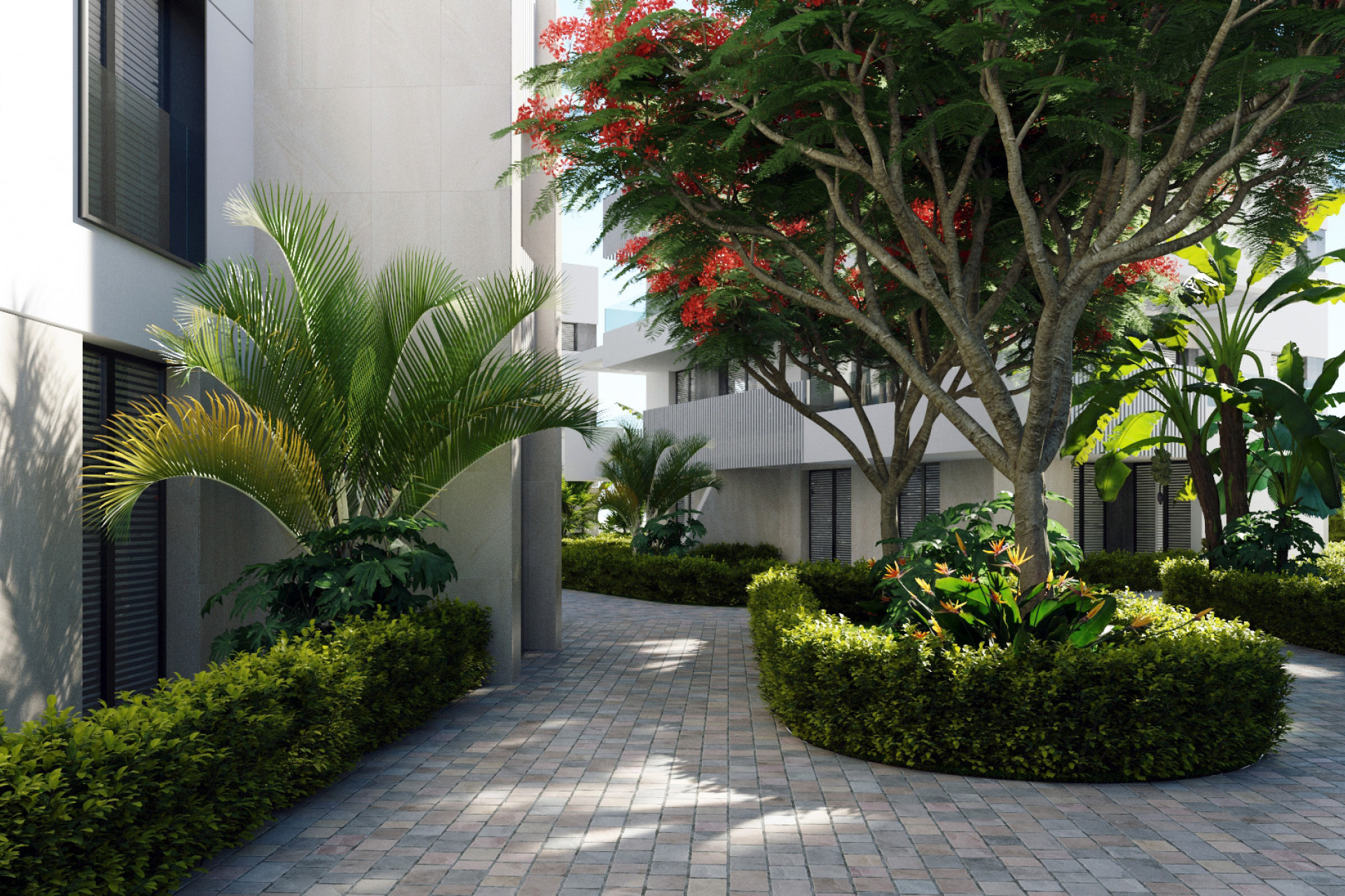 New Build - Penthouse - Santa Rosalia - Santa Rosalía