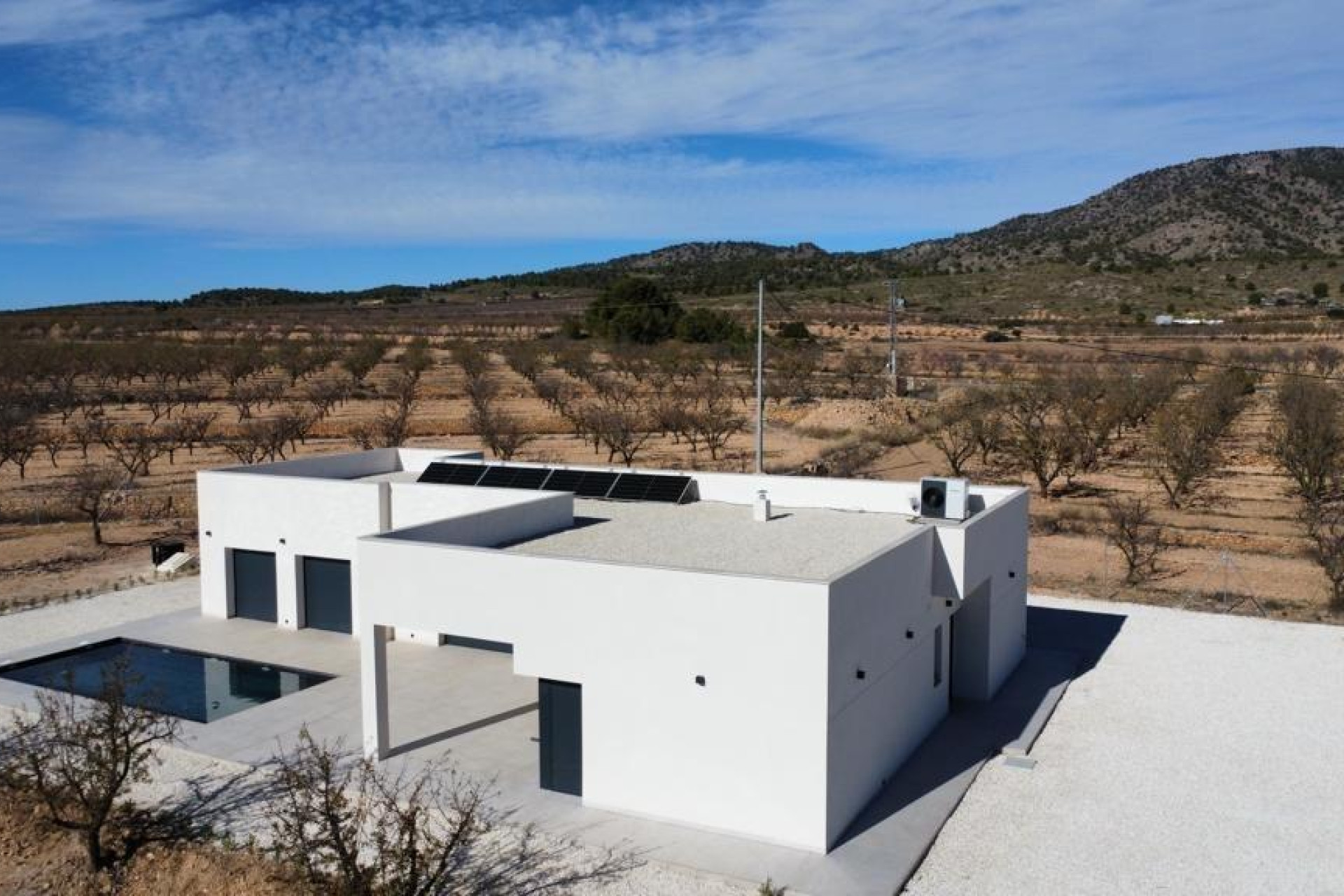 New Build - Villa - Pinoso - Campo