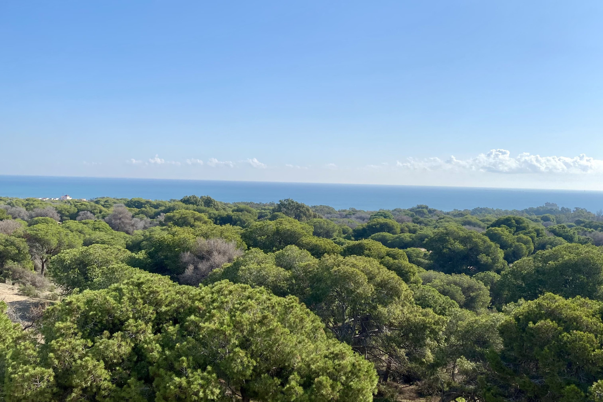 Nieuwbouw Woningen - Penthouse - Guardamar del Segura - Guardamar Del Segura