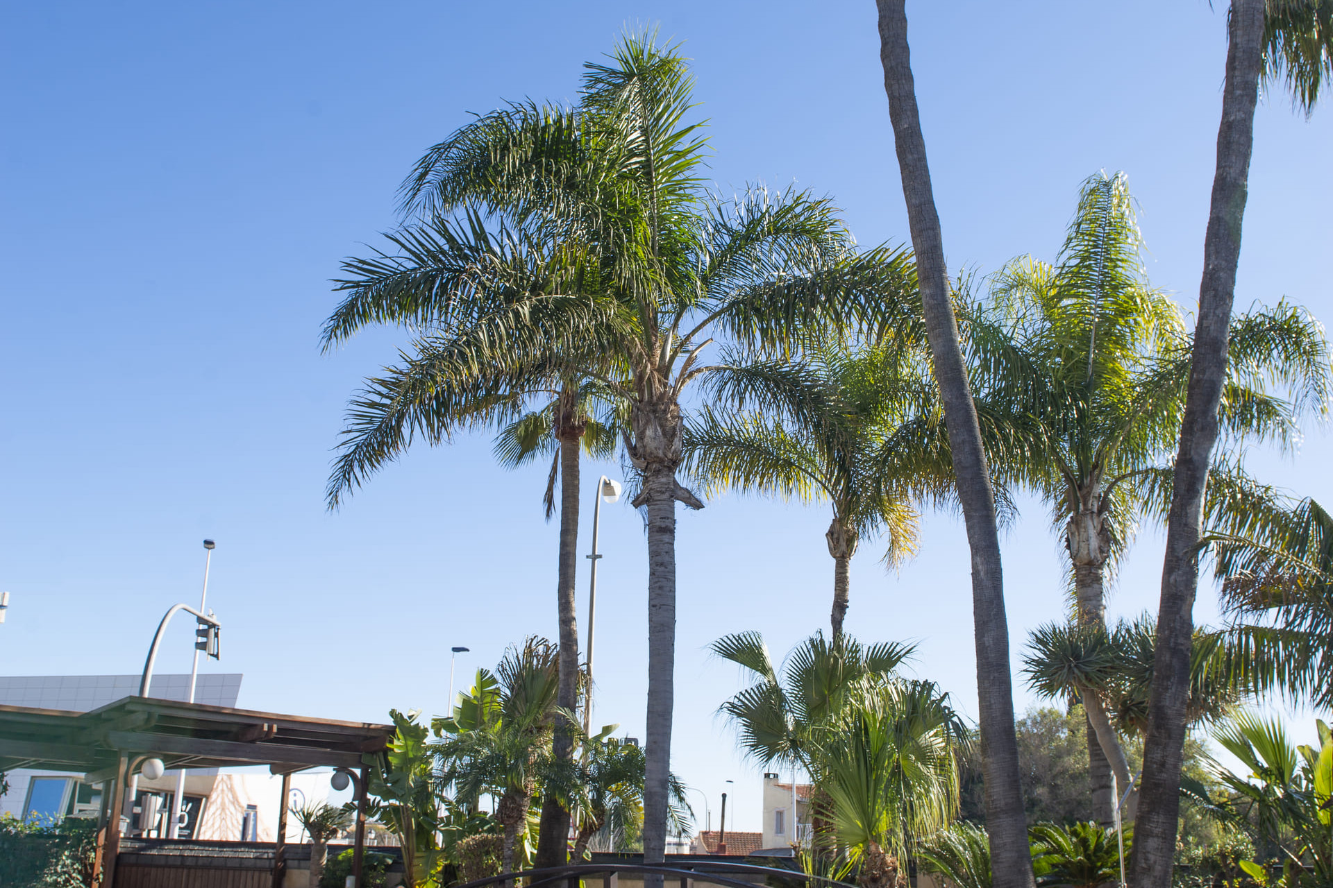 Nieuwbouw Woningen - Villa - San Pedro del Pinatar - San Pedro Del Pinatar