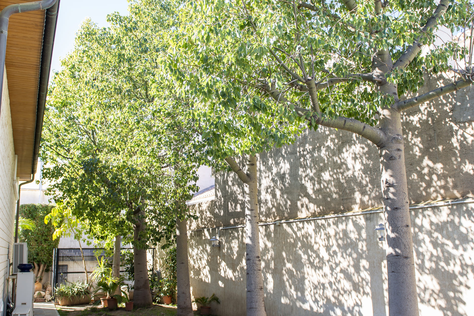 Nieuwbouw Woningen - Villa - San Pedro del Pinatar - San Pedro Del Pinatar