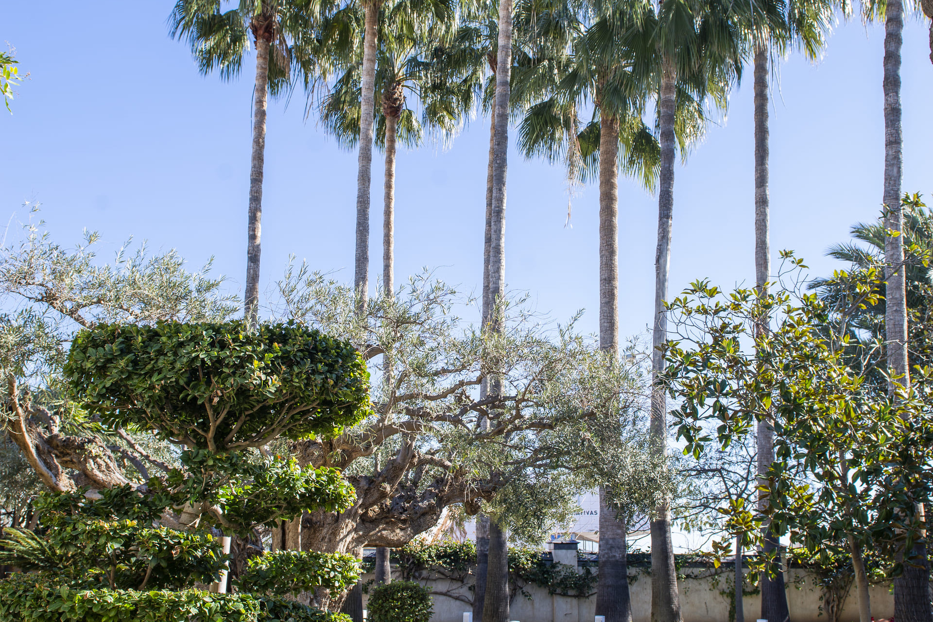 Nieuwbouw Woningen - Villa - San Pedro del Pinatar - San Pedro Del Pinatar