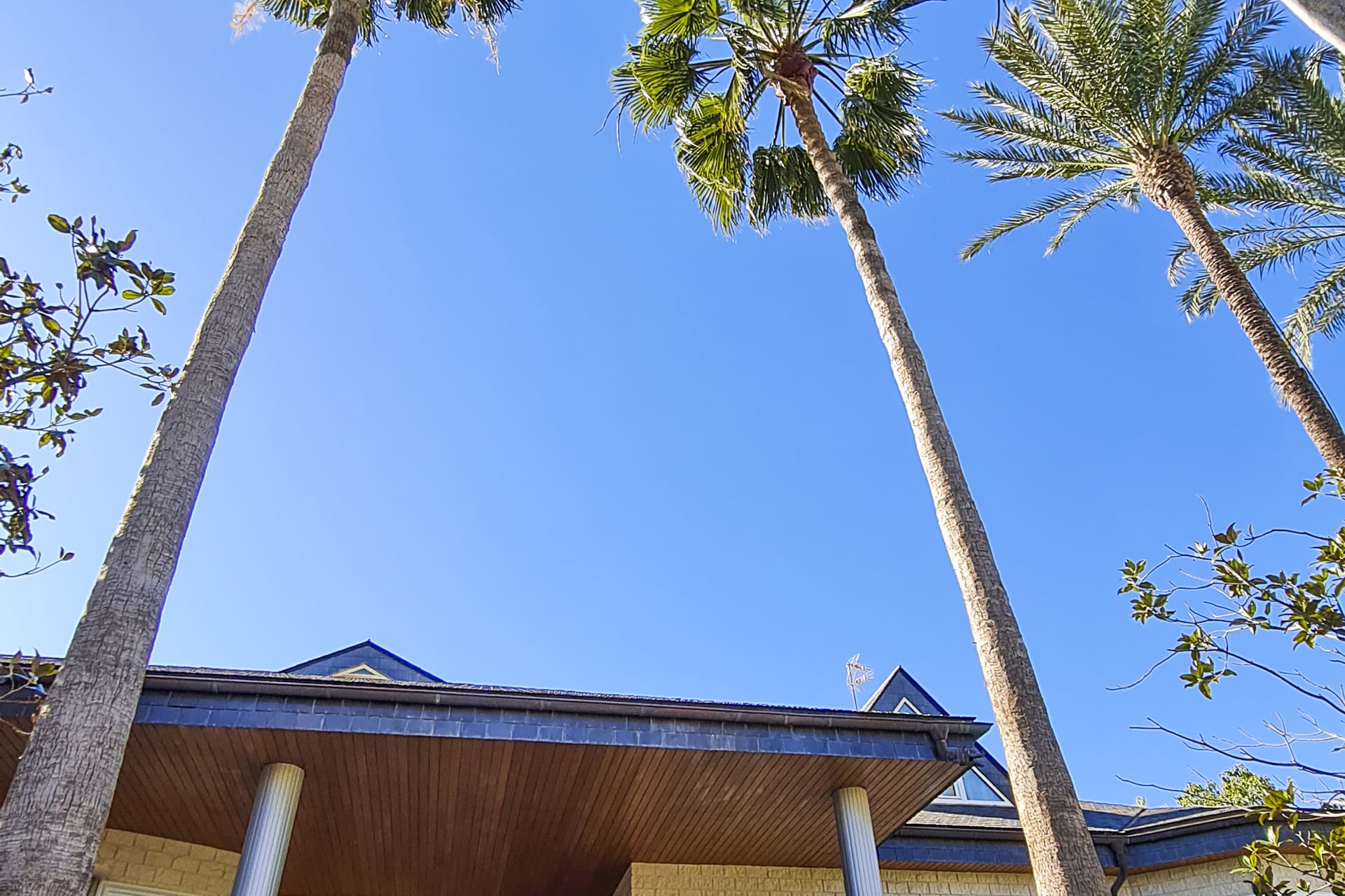 Nieuwbouw Woningen - Villa - San Pedro del Pinatar - San Pedro Del Pinatar