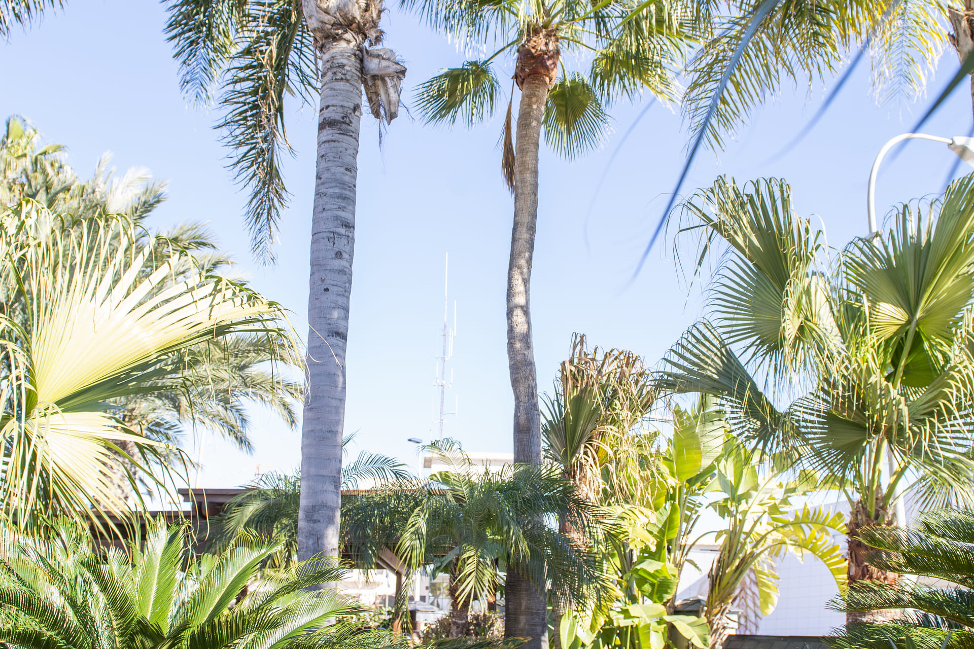 Nieuwbouw Woningen - Villa - San Pedro del Pinatar - San Pedro Del Pinatar