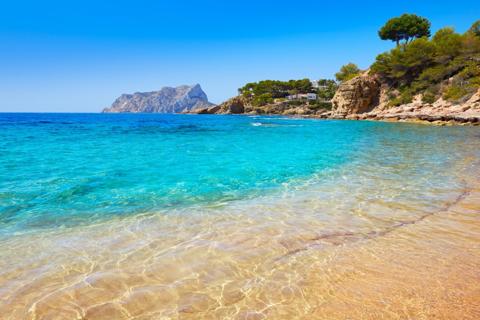 Nouvelle construction - Appartement - Algorfa