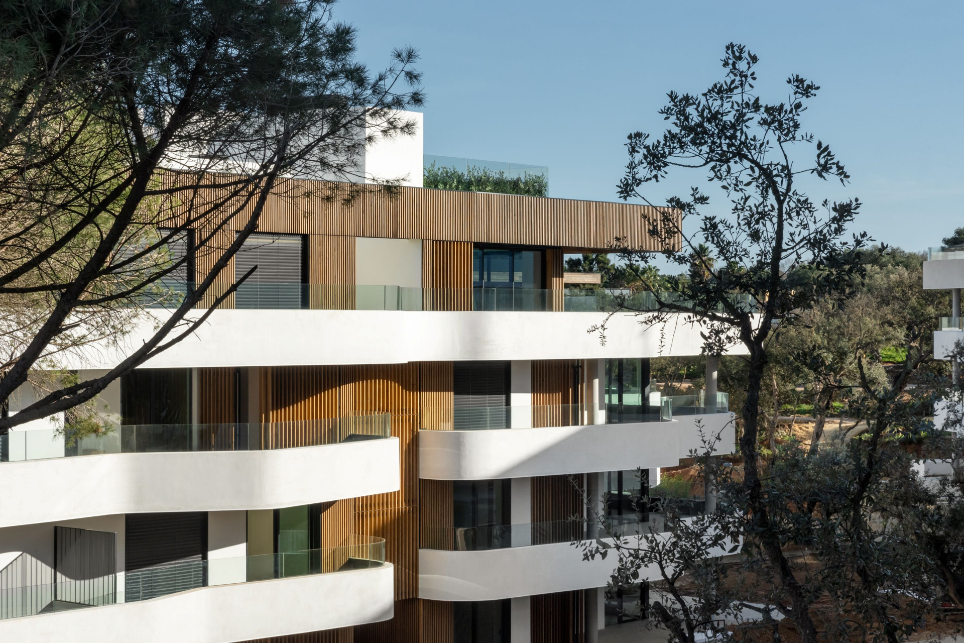 Nouvelle construction - Appartement - Pueblo Nuevo