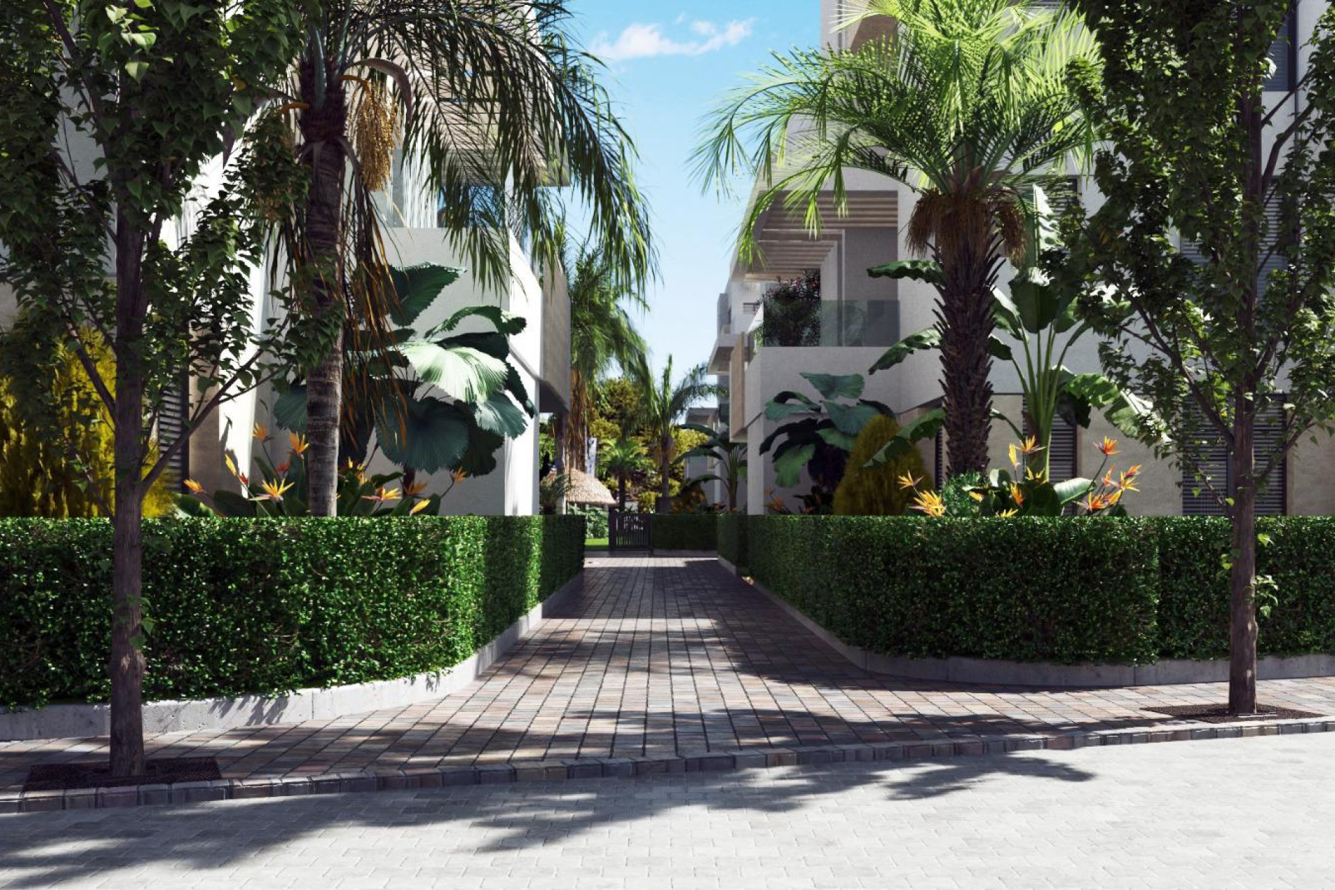 Nouvelle construction - Appartement - Torre Pacheco - Torre-pacheco