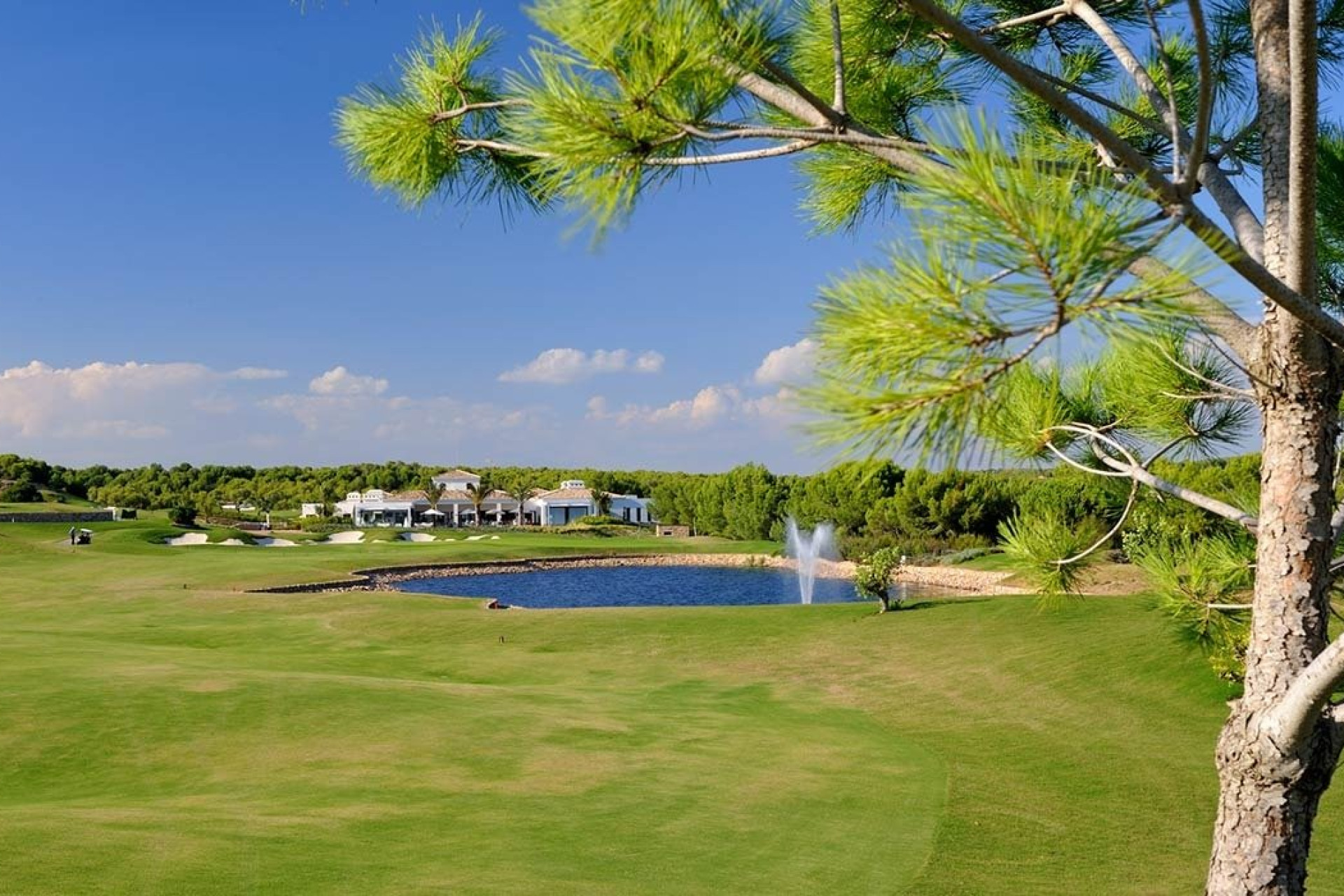 Nouvelle construction - Attique - Orihuela - Las Colinas Golf