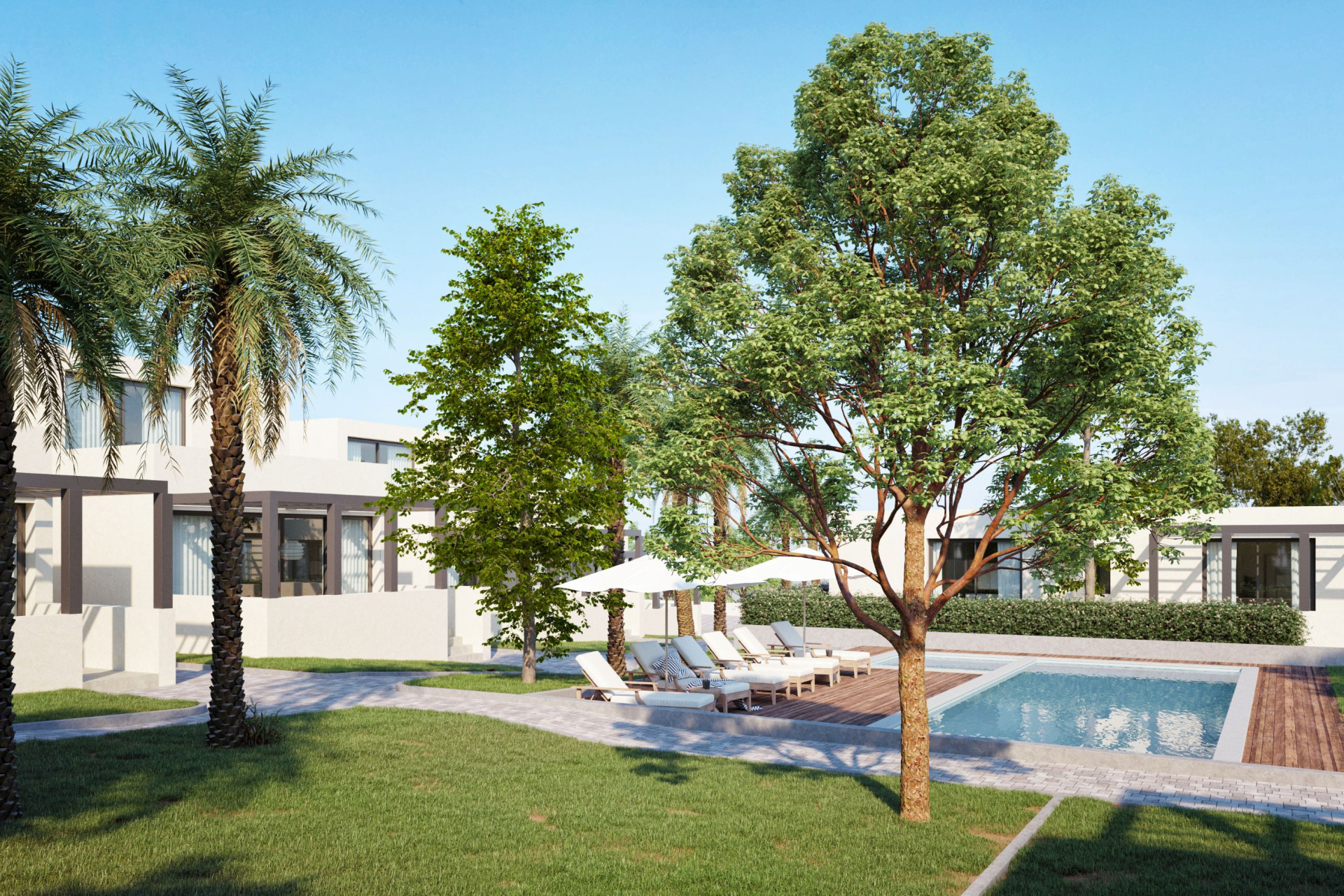 Nouvelle construction - Maison de ville - Cartagena