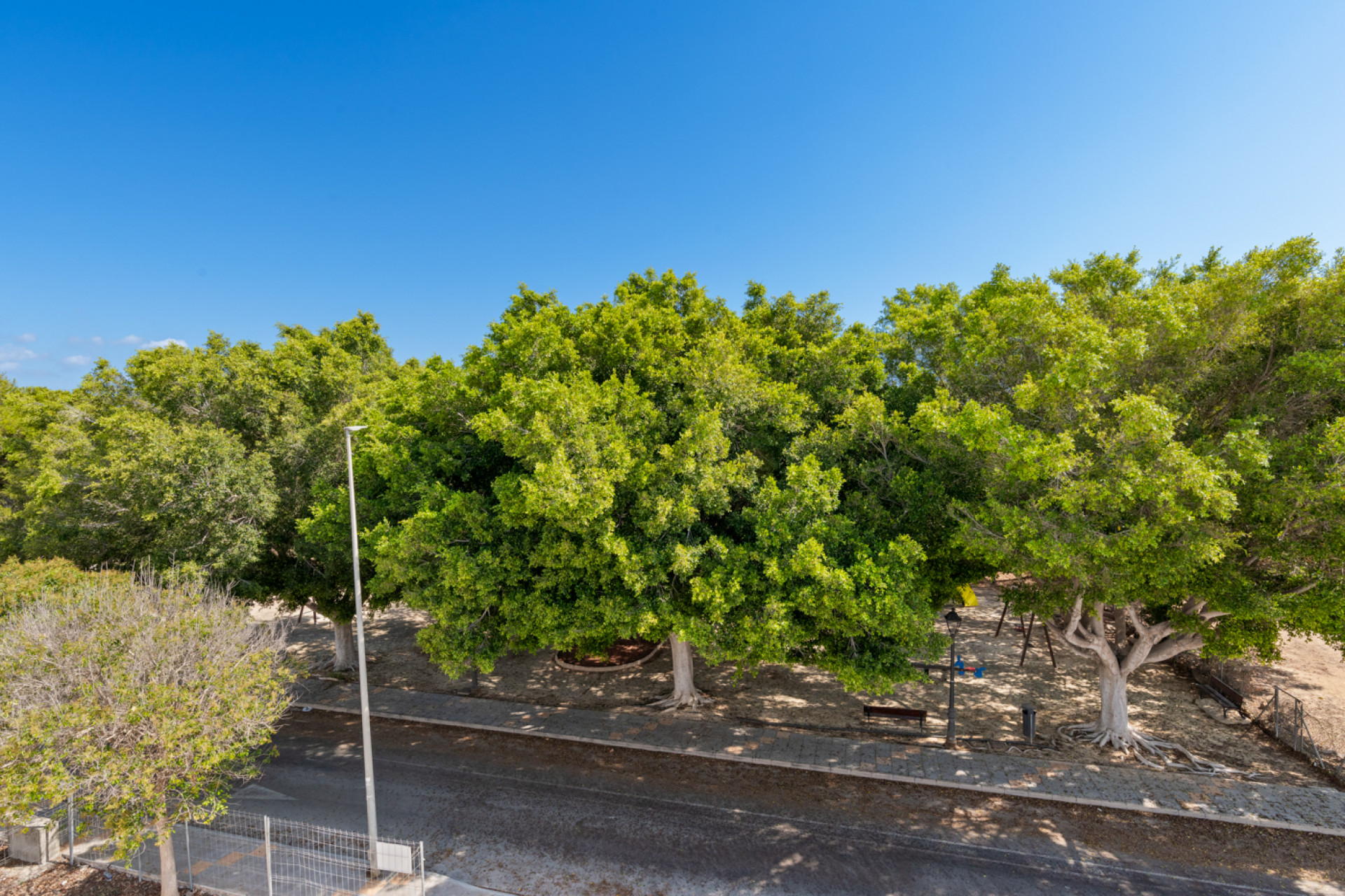 Nouvelle construction - Villa - Pilar de la Horadada