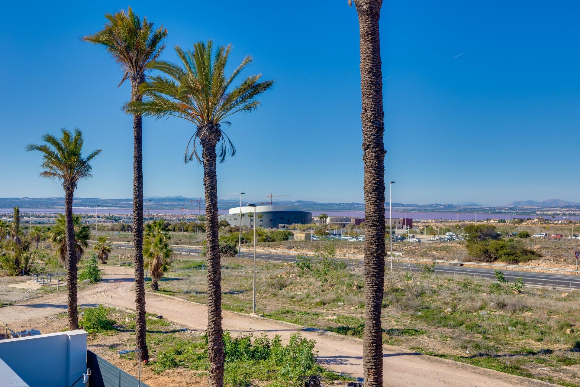 Nouvelle construction - Villa - Torrevieja - Parque Acuático - Sector 25