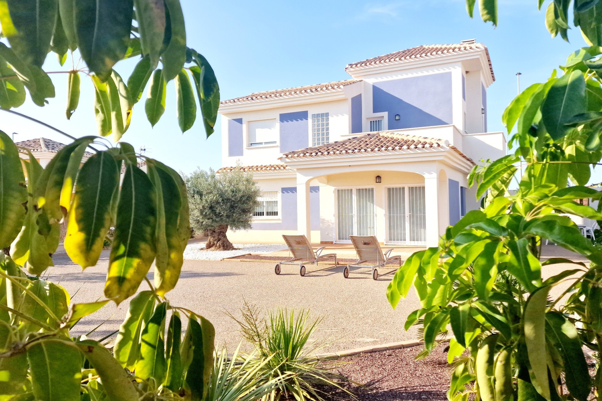 Nowy budynek - Villa - Purias