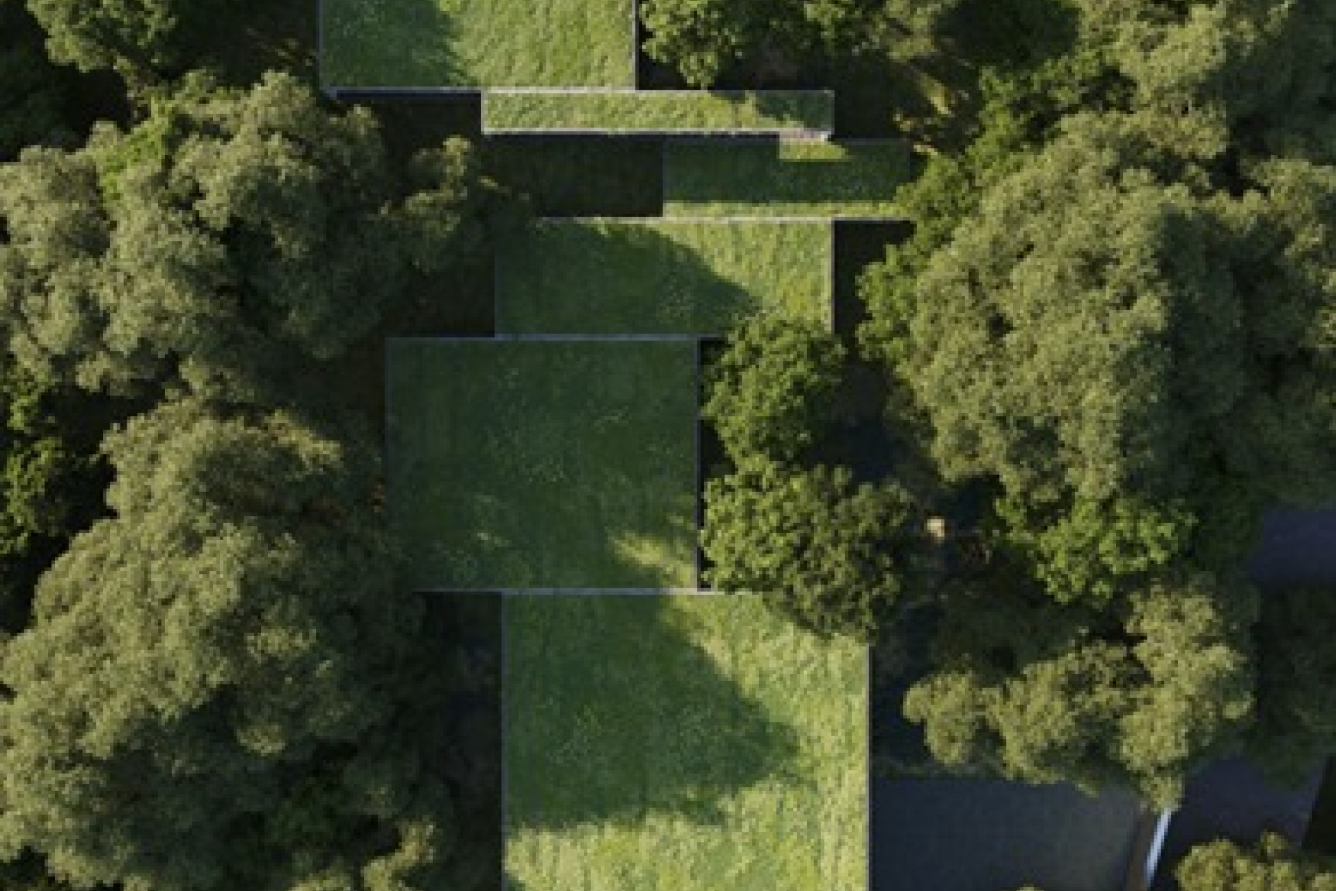 Nowy budynek - Villa - San Roque