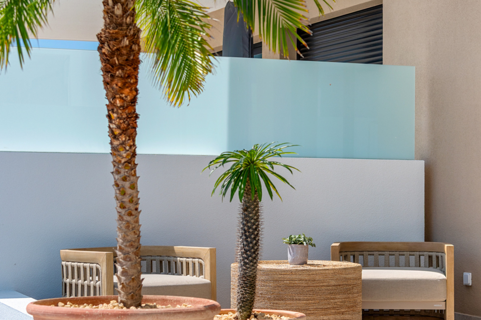 Obra nueva - Adosado - Dolores