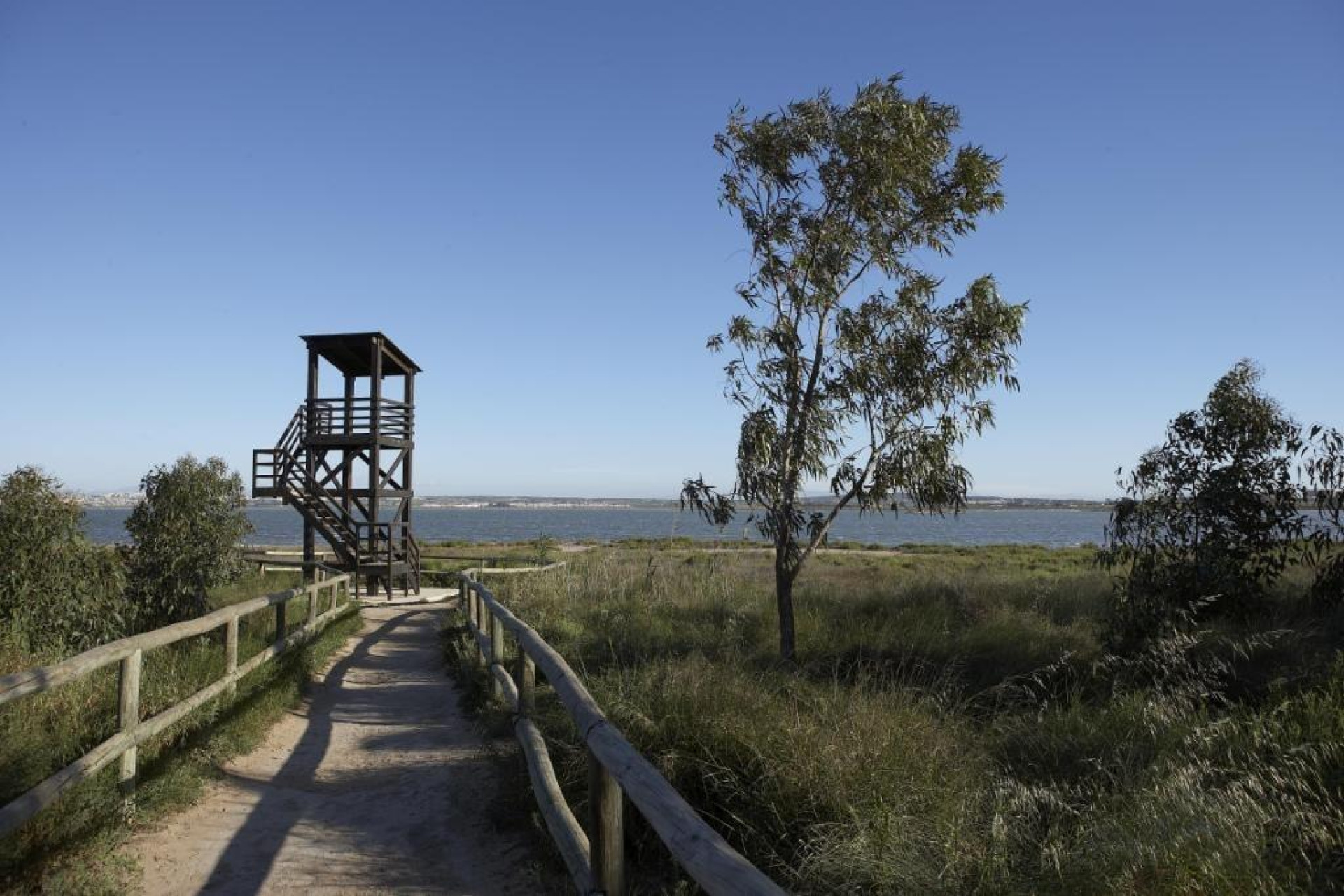 Obra nueva - Adosado - Torrevieja - Aguas Nuevas