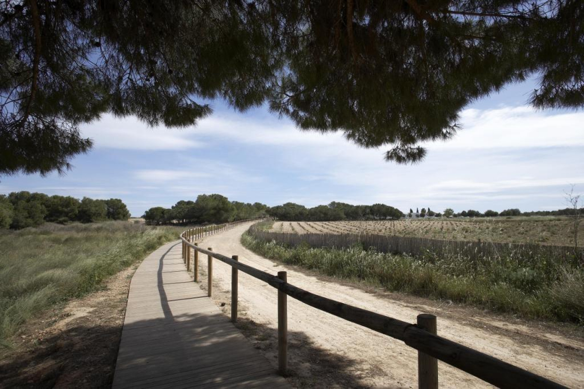 Obra nueva - Adosado - Torrevieja - Aguas Nuevas