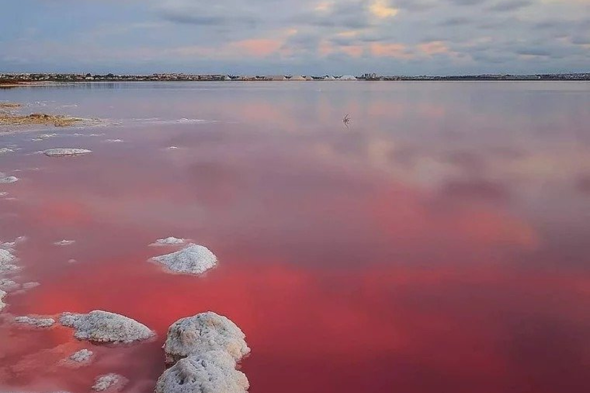 Obra nueva - Adosado - Torrevieja - Lago Jardín II