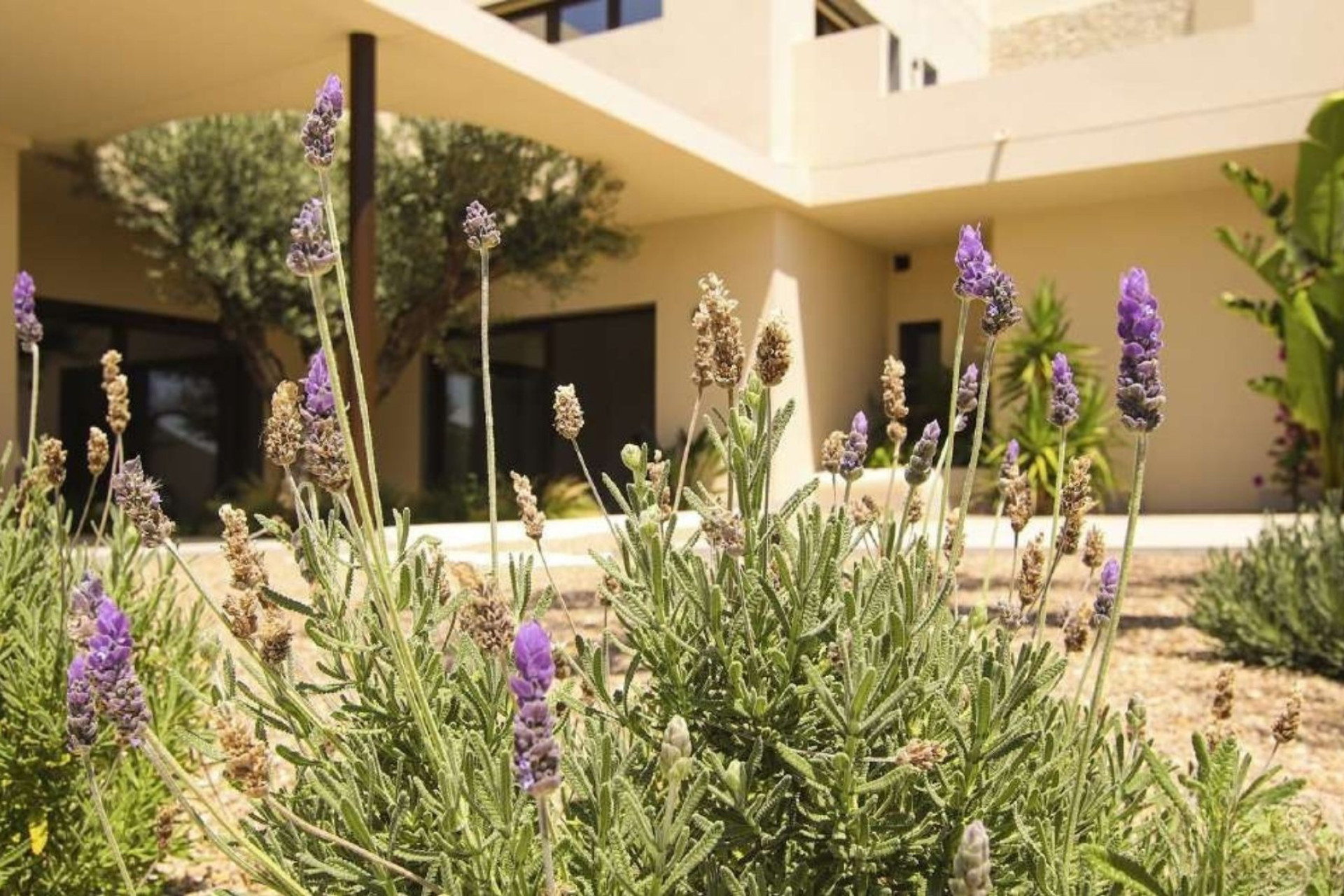 Obra nueva - Villa - La Marina