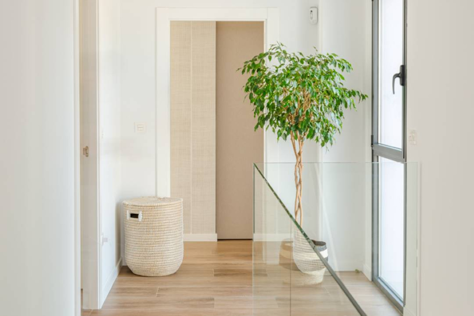 Obra nueva - Villa - Molina De Segura - Molina de Segura