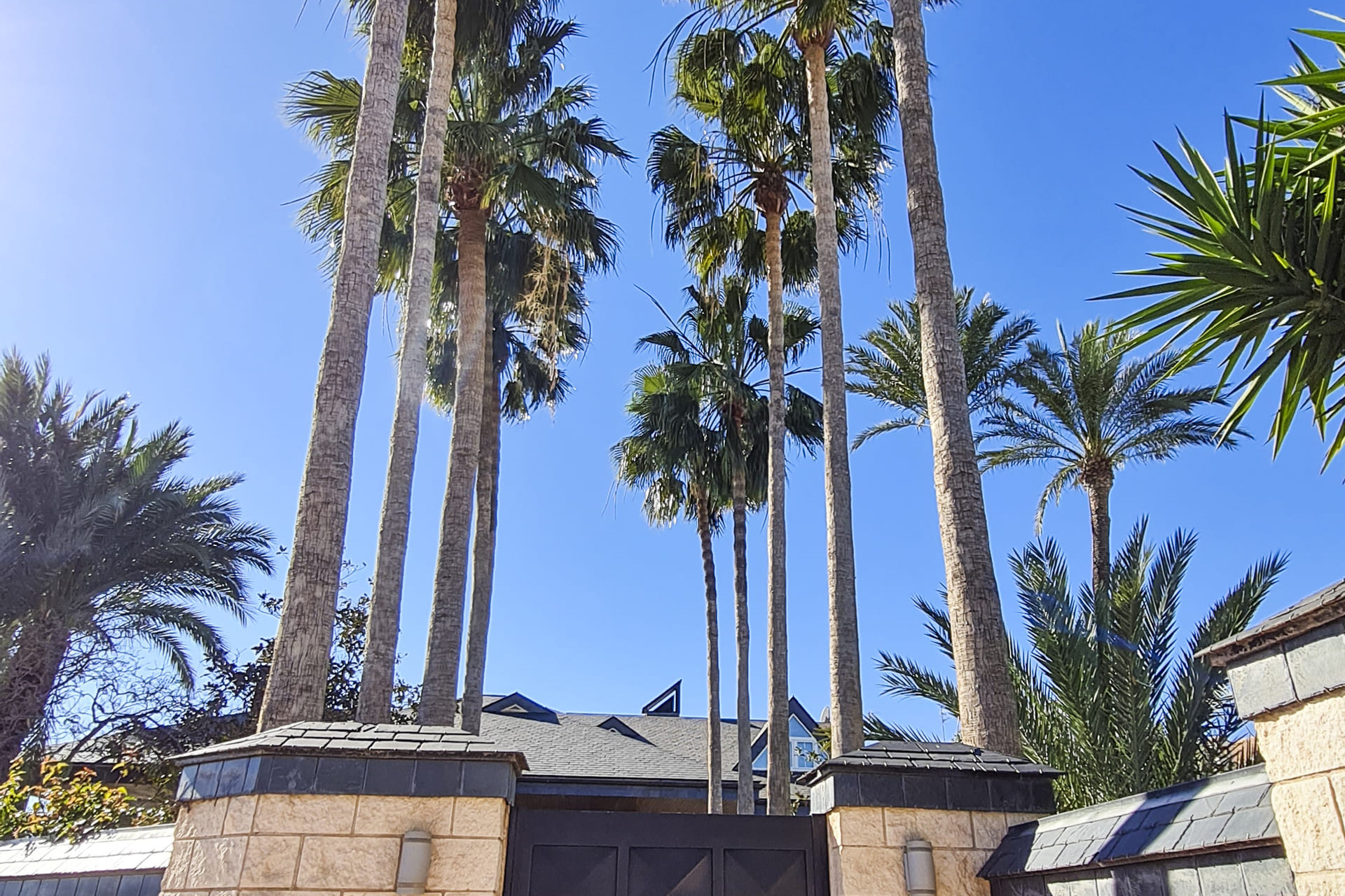 Obra nueva - Villa - San Pedro del Pinatar - San Pedro Del Pinatar