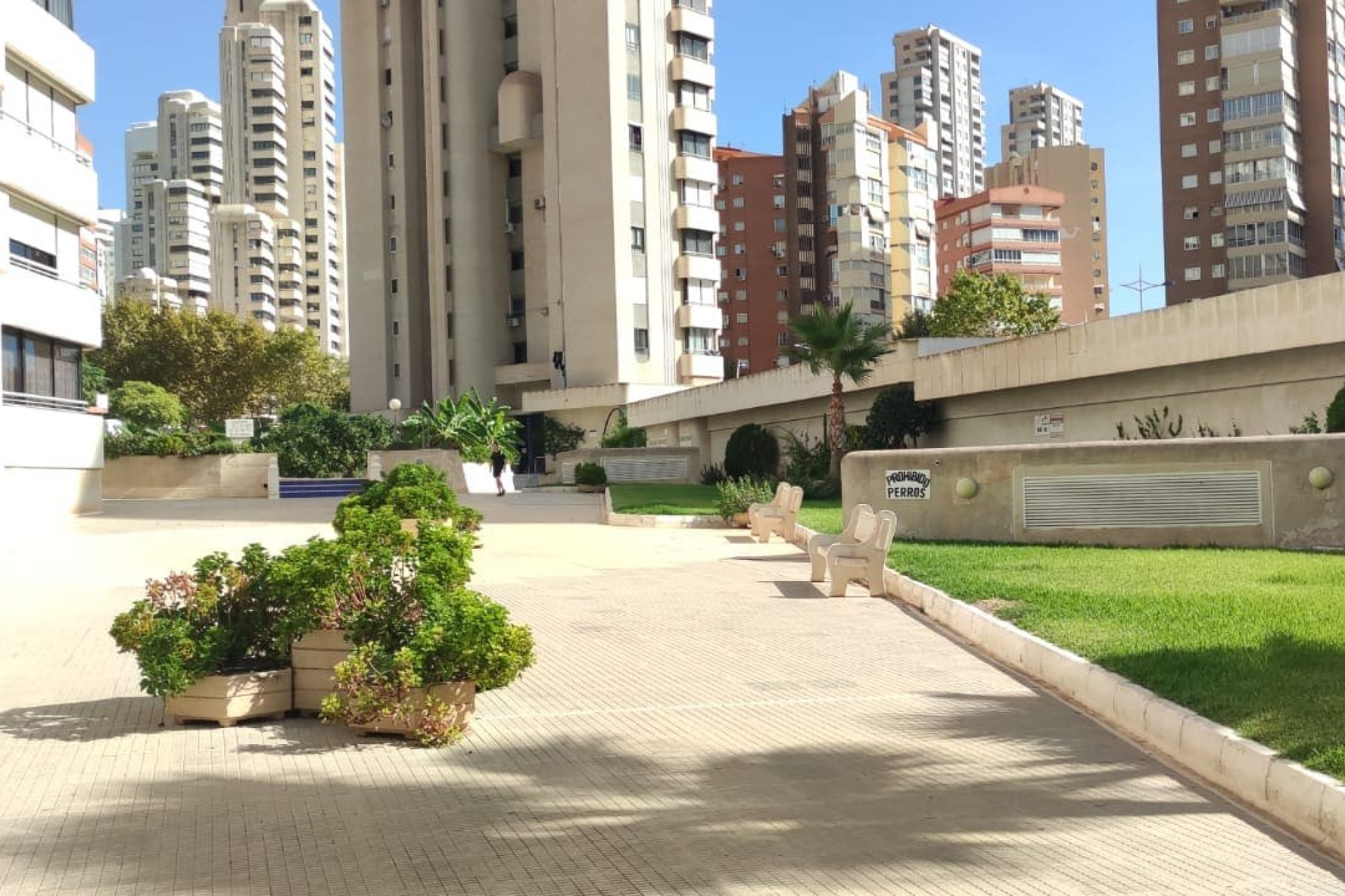 Odsprzedaż - Daszek - Benidorm - Zona de Poniente