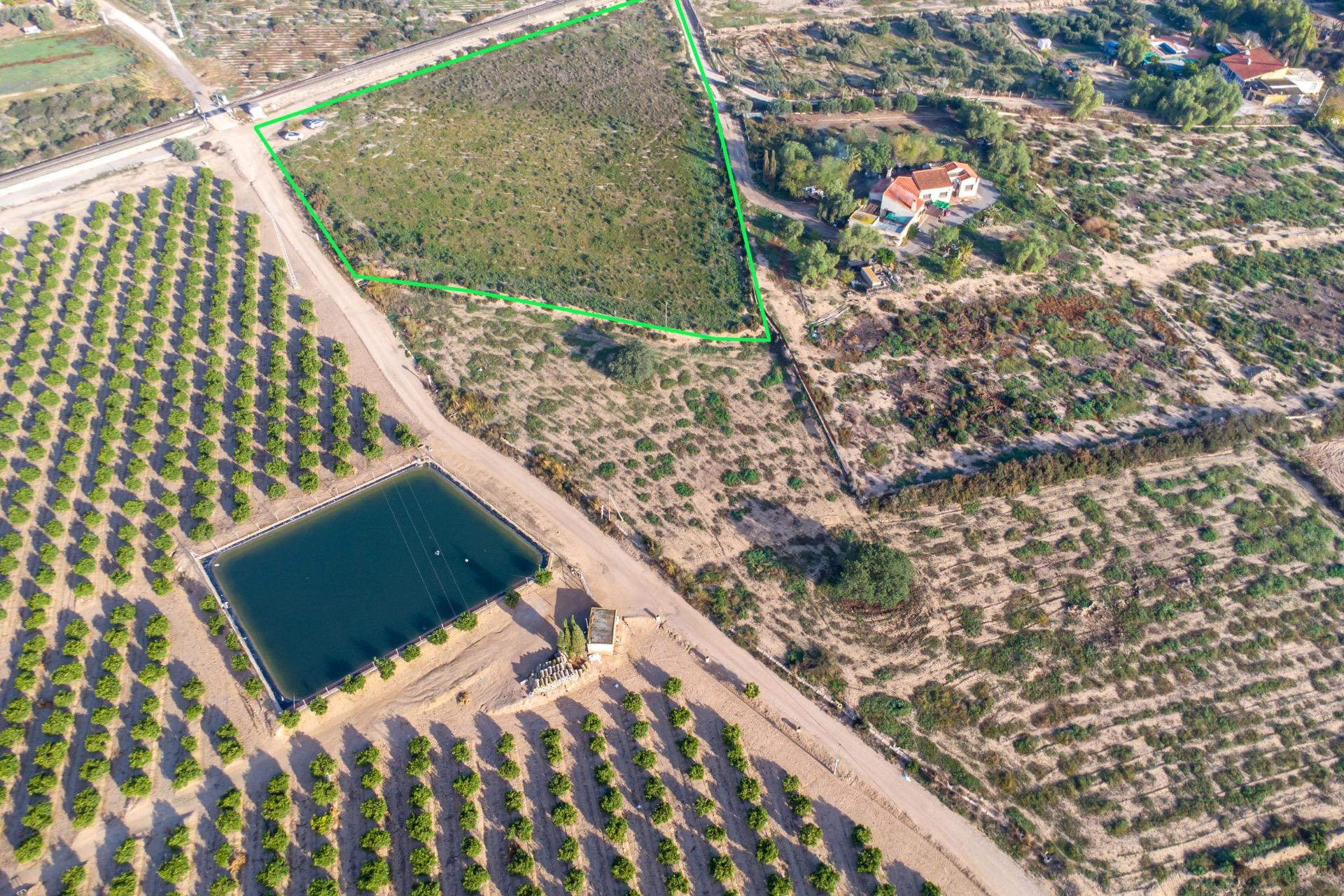 Odsprzedaż - Działka / Grunt - Crevillente - Comunidad valenciana